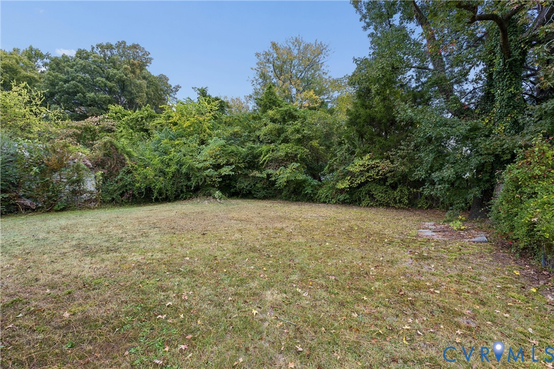 Expansive backyard featuring an open grass lawn, mature trees, and dense natural perimeter vegetation