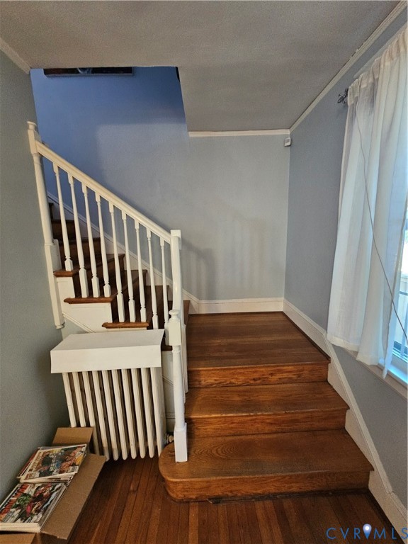 Staircase featuring wood-finish treads, a white balustrade with a painted wood handrail, and a built-in radiator cover