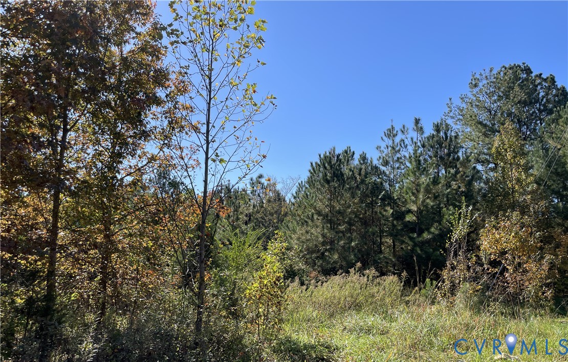Expansive acreage featuring a mix of open meadow and dense stands of mature deciduous and evergreen trees