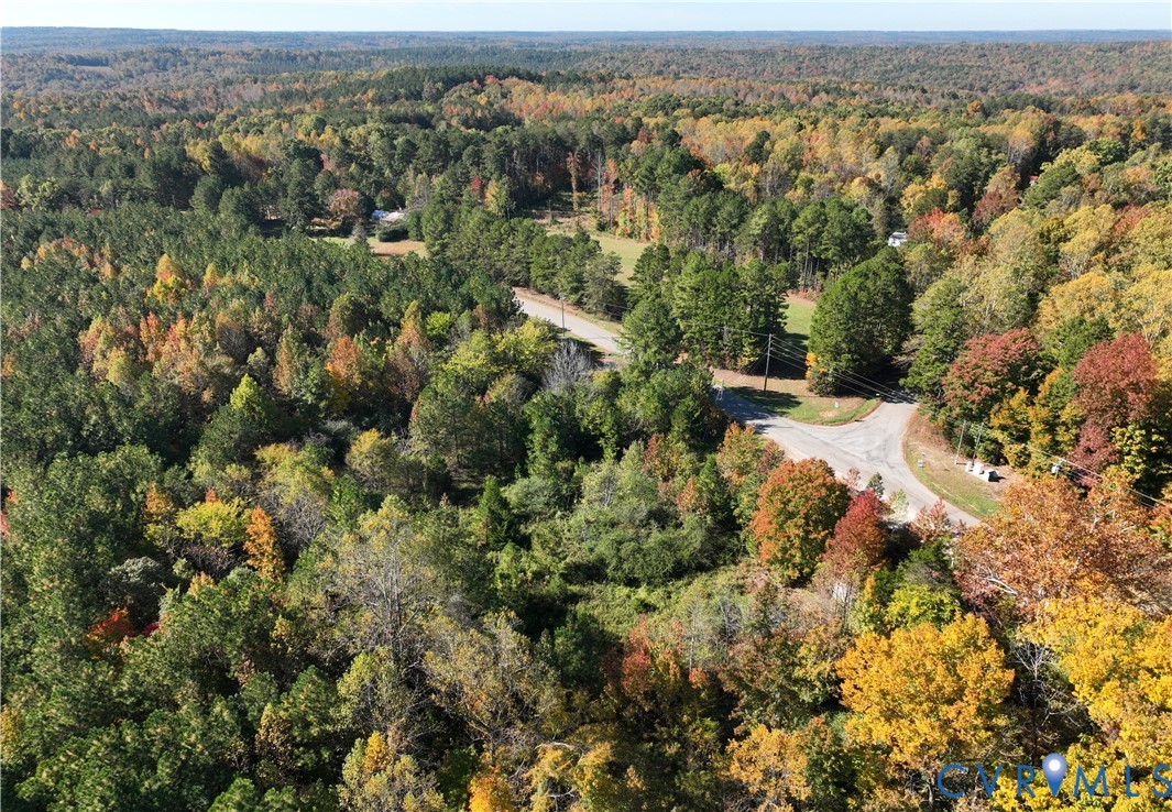 Expansive acreage featuring mature hardwood timber, dense forest canopy, and direct paved road frontage
