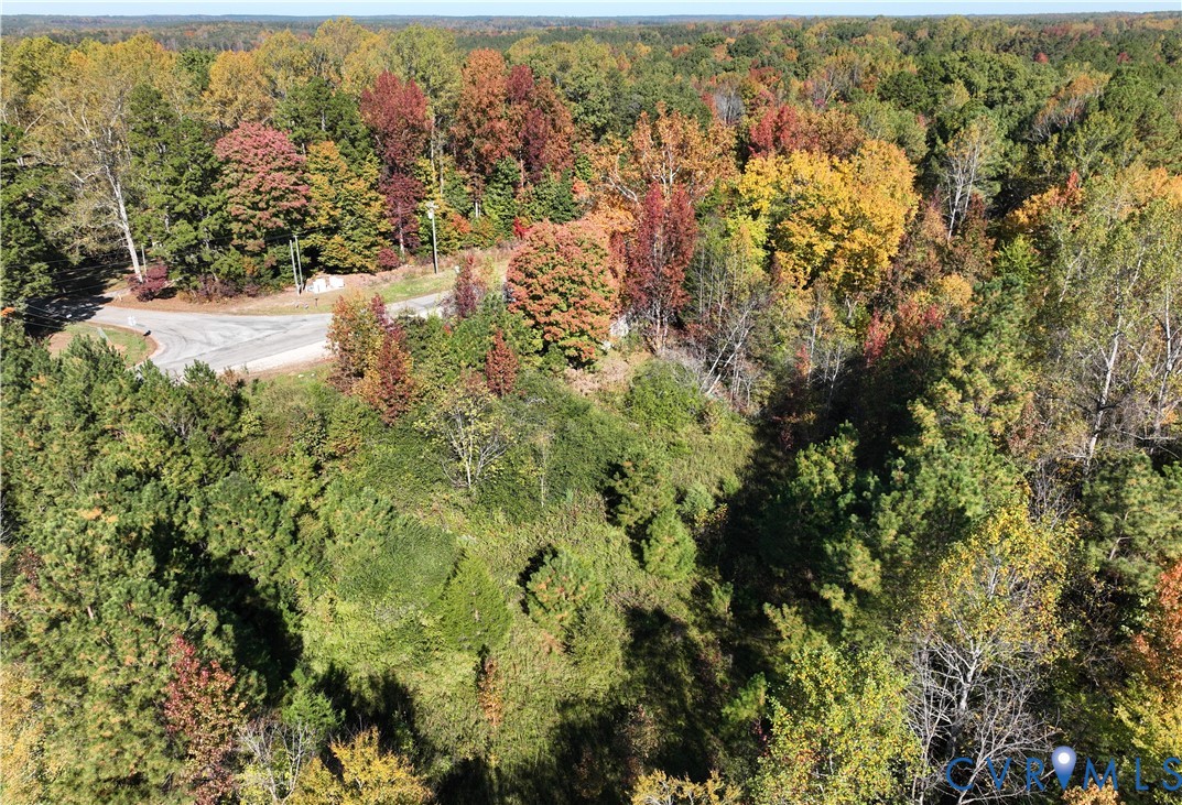 Wooded lot featuring mature deciduous and evergreen trees, topographical variety, and direct asphalt street access