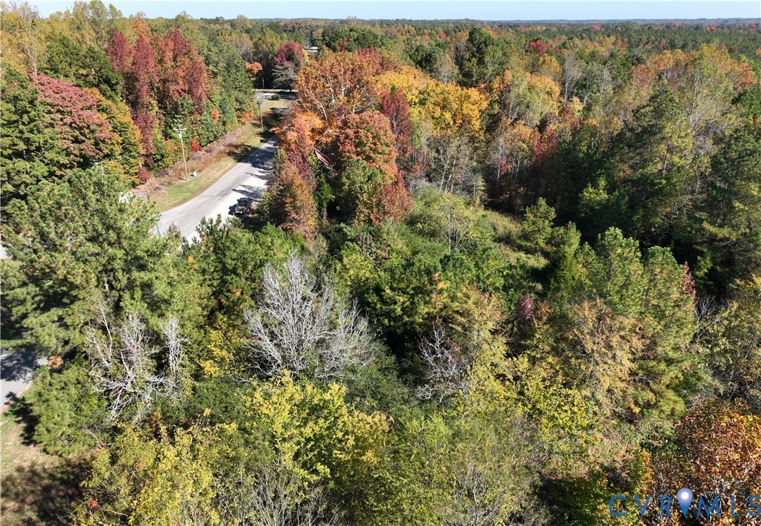 Expansive wooded acreage featuring dense mature tree cover and diverse native foliage
