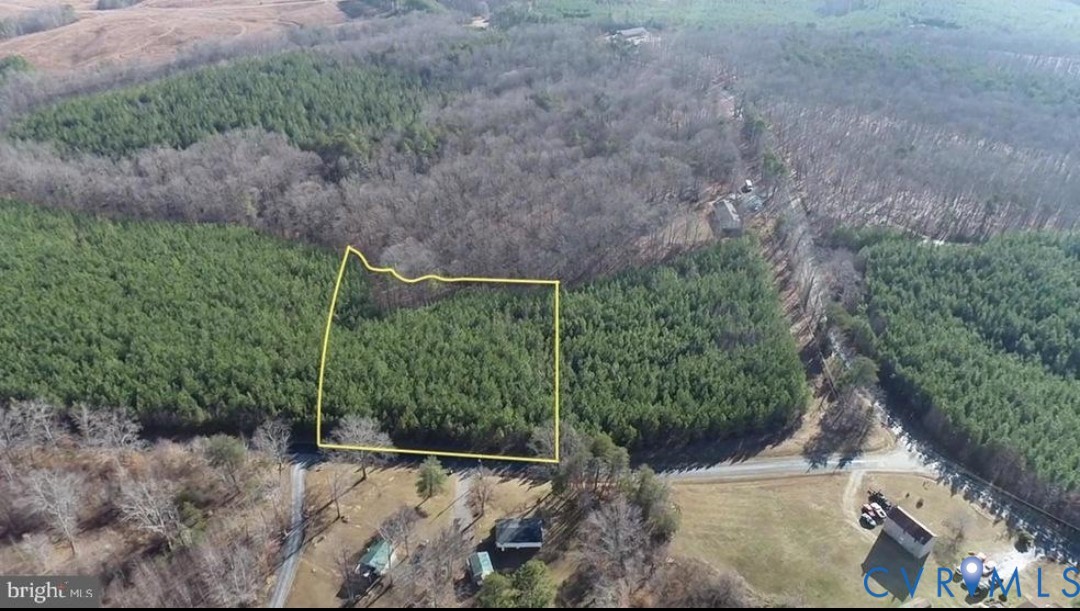 Aerial perspective of expansive wooded acreage featuring dense evergreen and deciduous tree coverage