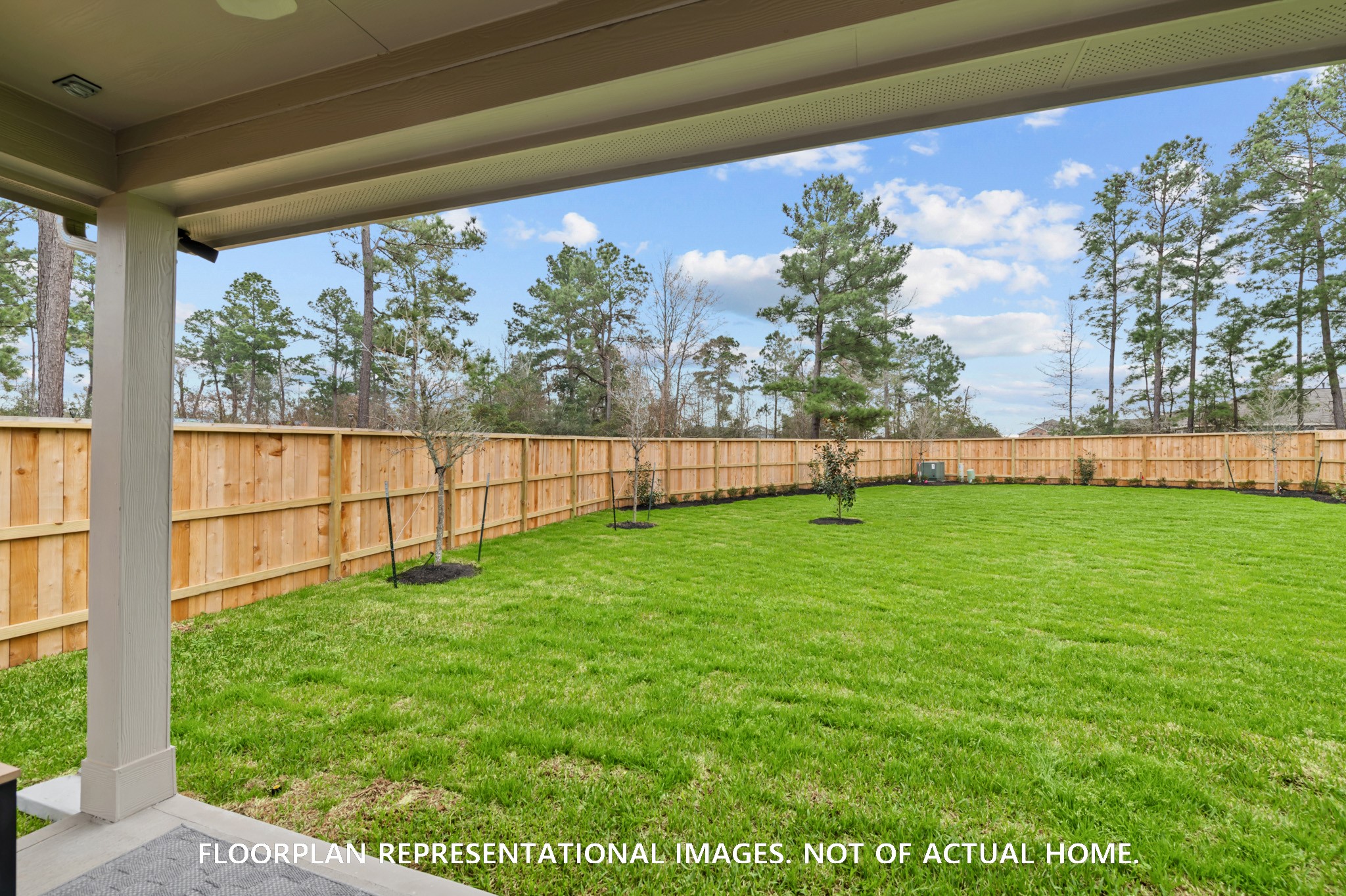1009 Garnet Star Drive, La Marque, TX 77568