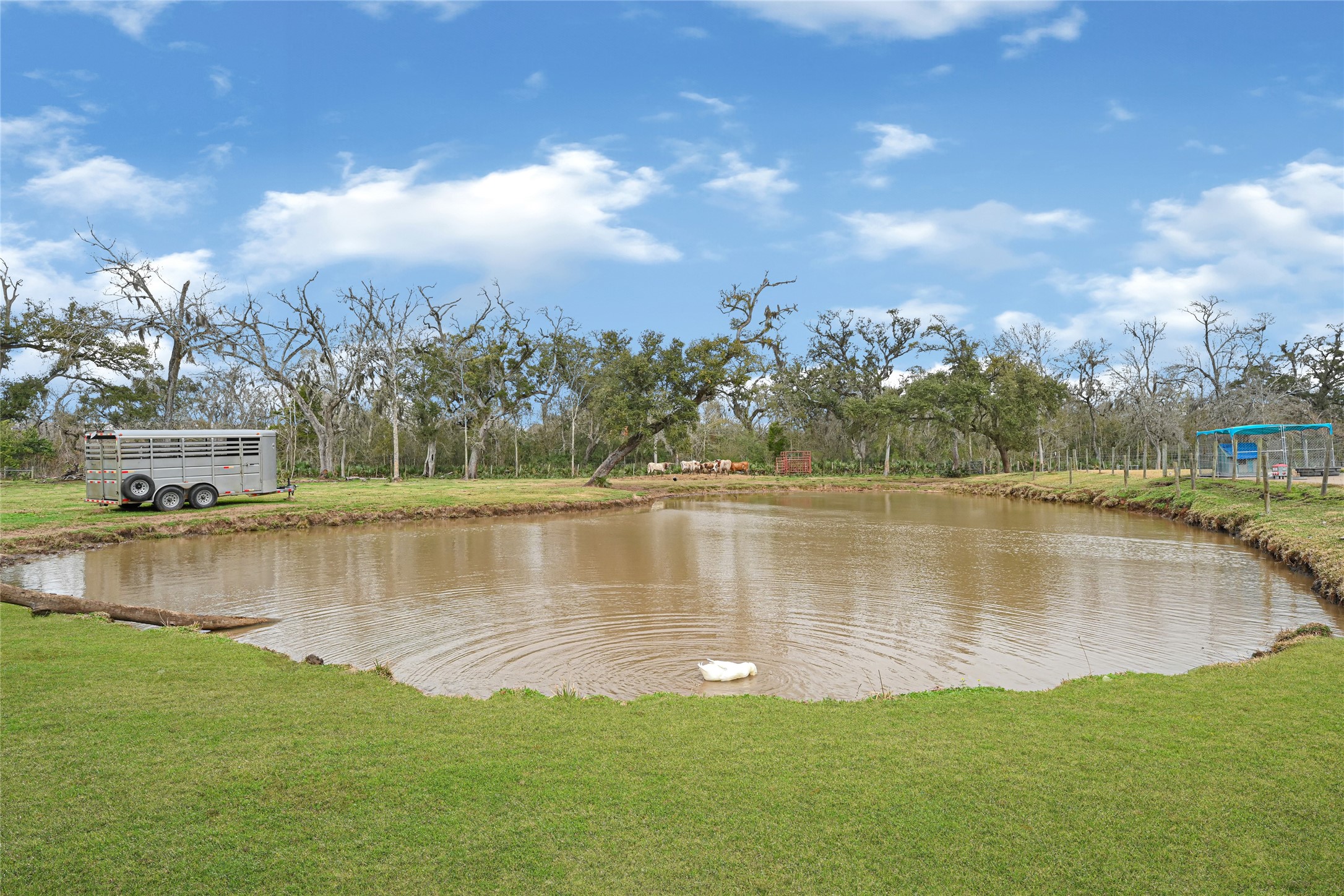 Fishing pond on property