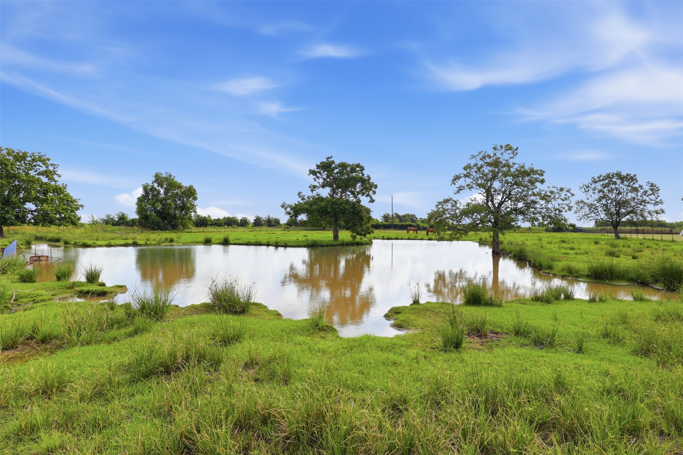 3834 Quail Hollow Drive, Brookshire, TX 77423