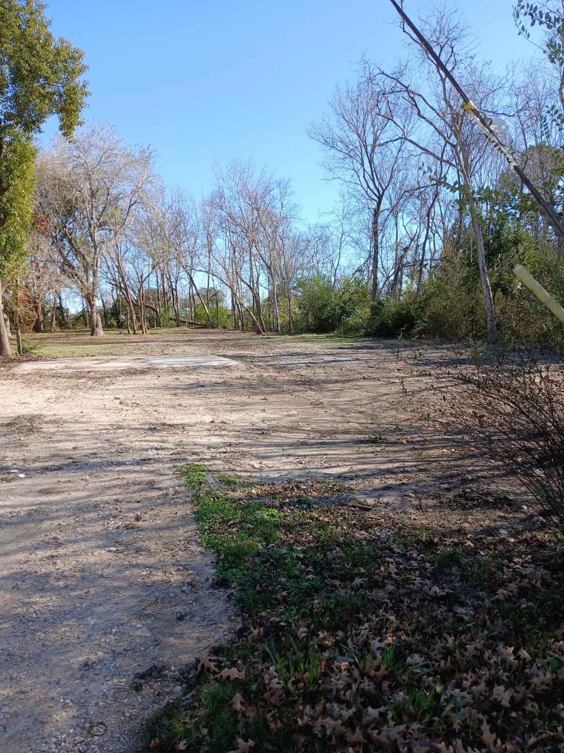 8019 Bellwood Drive, Hitchcock, TX 77563