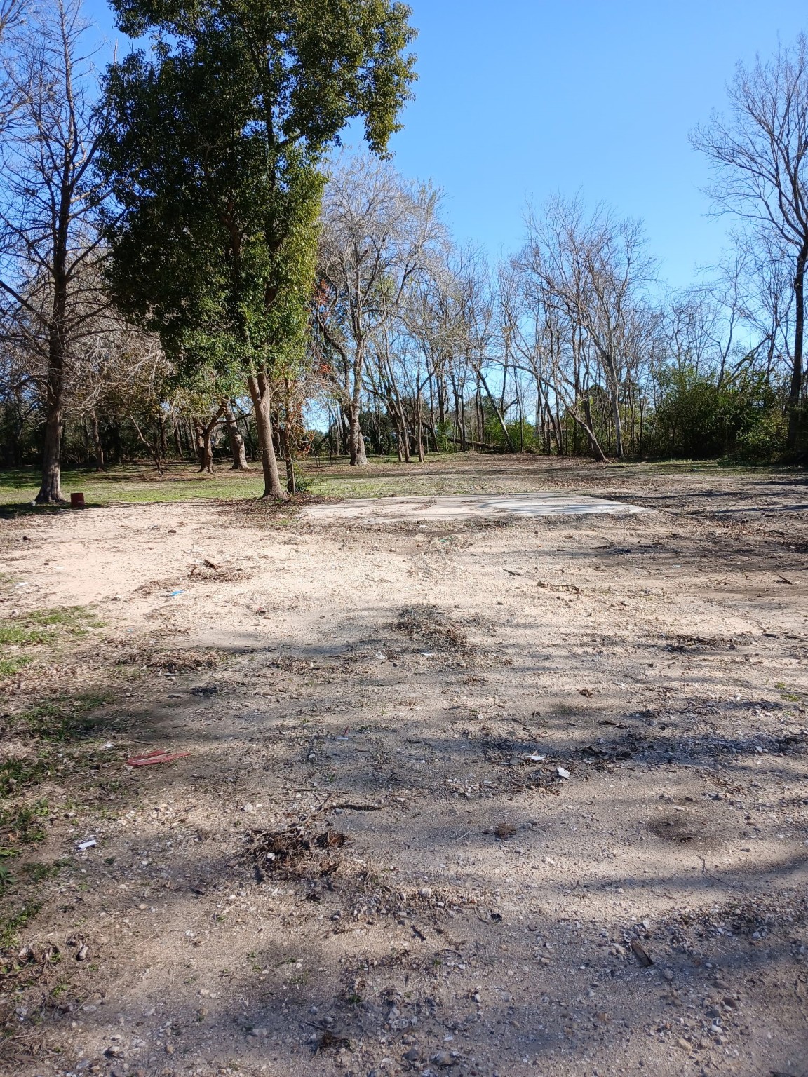 8019 Bellwood Drive, Hitchcock, TX 77563