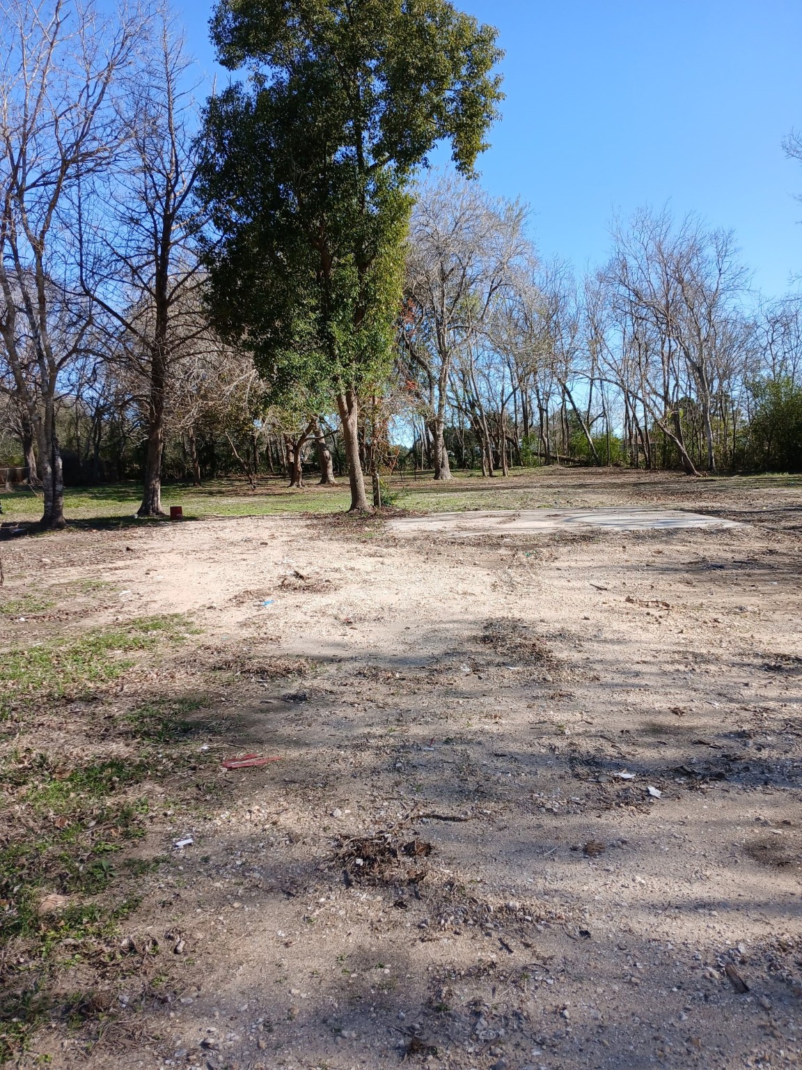 8019 Bellwood Drive, Hitchcock, TX 77563