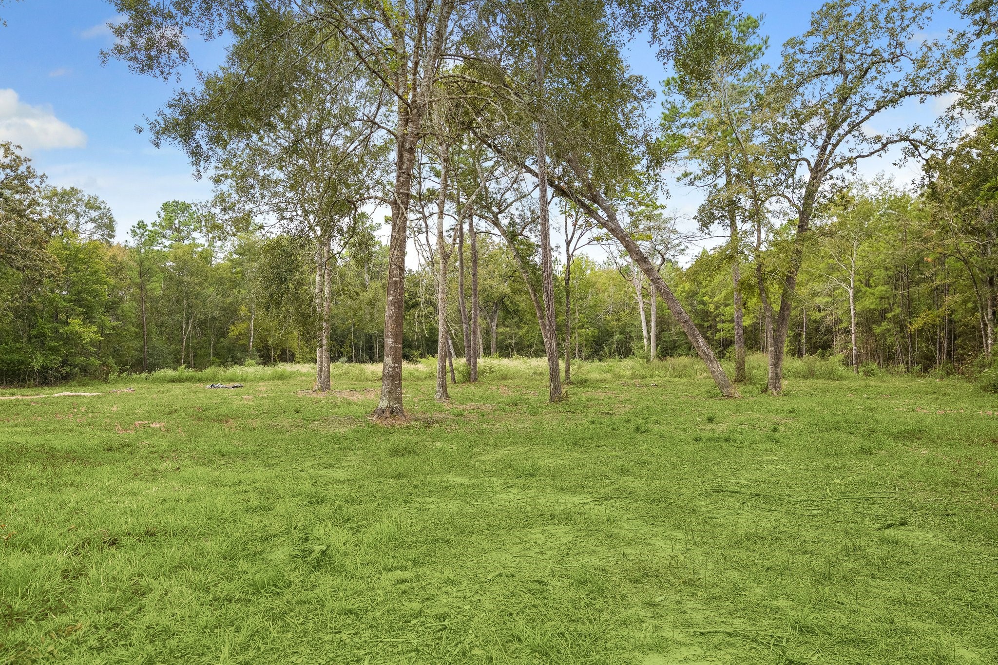 22323 Fm 149 Road, Montgomery, TX 77356
