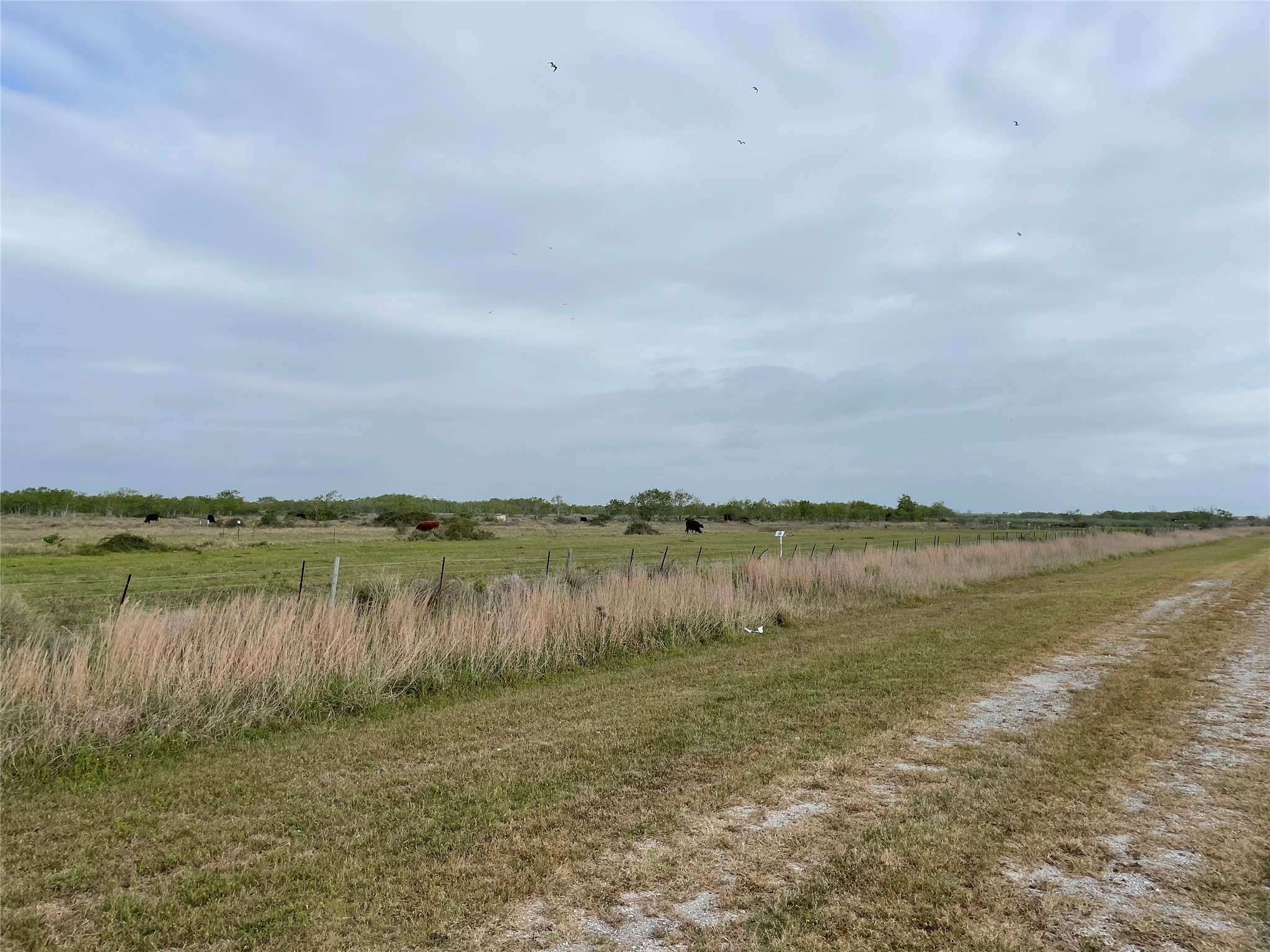 0 Harbor Dr, Hitchcock, TX 77563 0 Harbor Dr, Hitchcock, TX 77563
