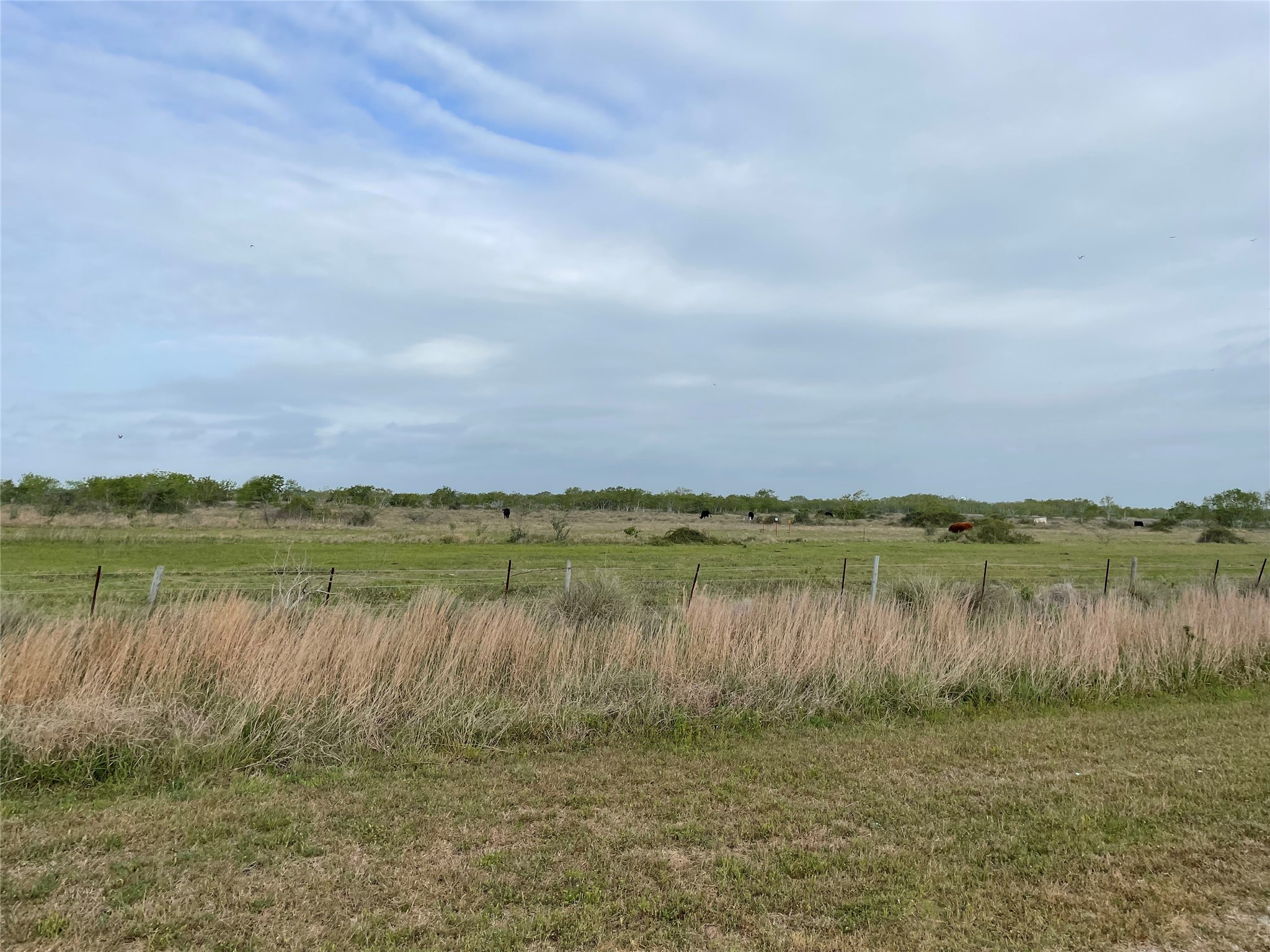 0 Harbor Dr, Hitchcock, TX 77563