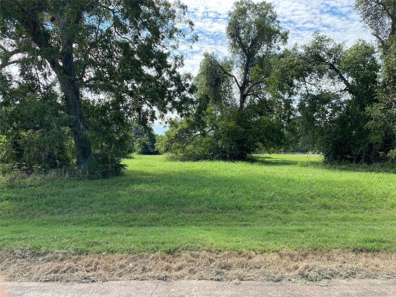 275 Horse Shoe Trail, Angleton, TX 77515