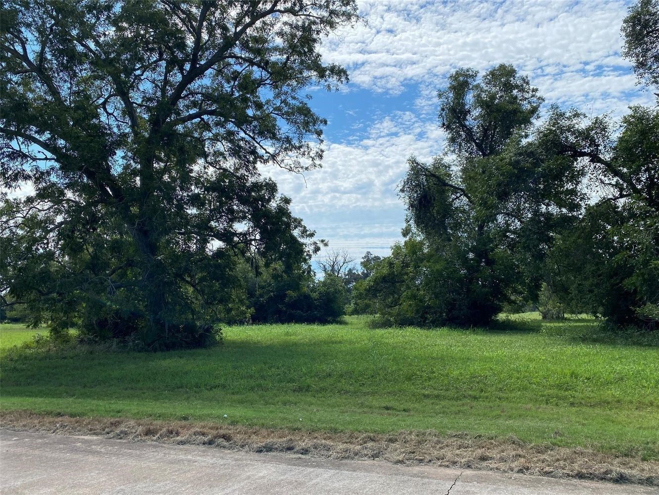 275 Horse Shoe Trail, Angleton, TX 77515