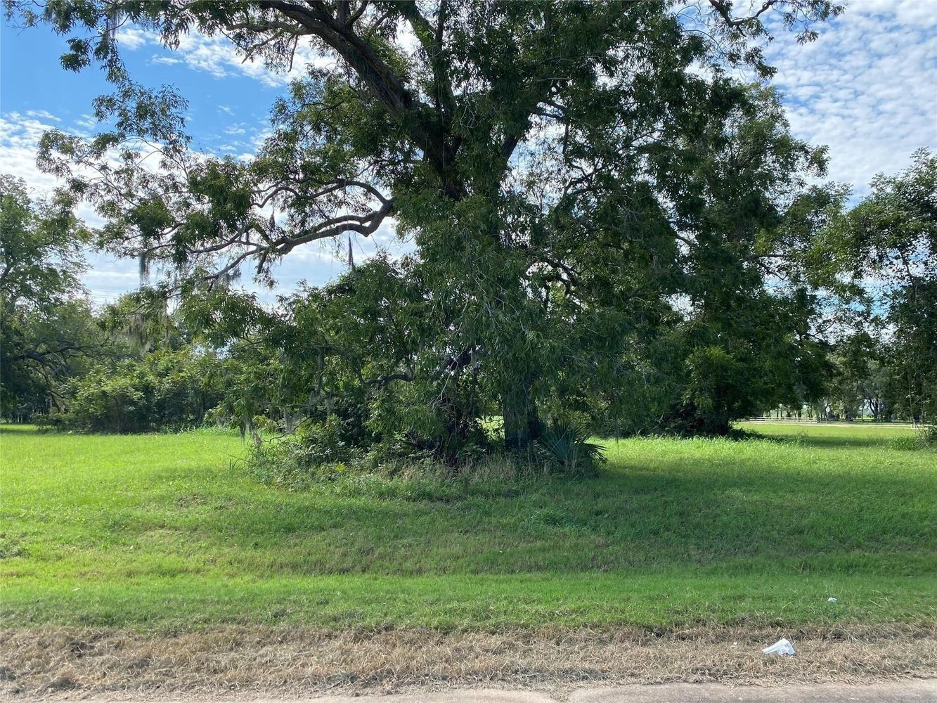 275 Horse Shoe Trail, Angleton, TX 77515