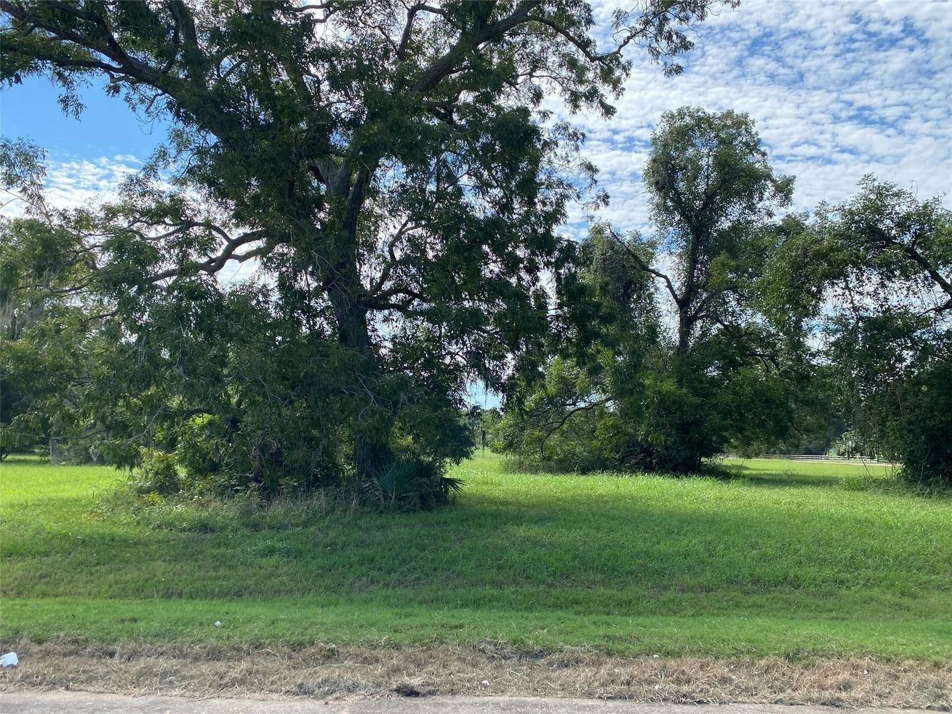 275 Horse Shoe Trail, Angleton, TX 77515