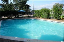 This photo showcases a well-maintained outdoor swimming pool surrounded by greenery, providing a relaxing and private space for leisure and entertainment.