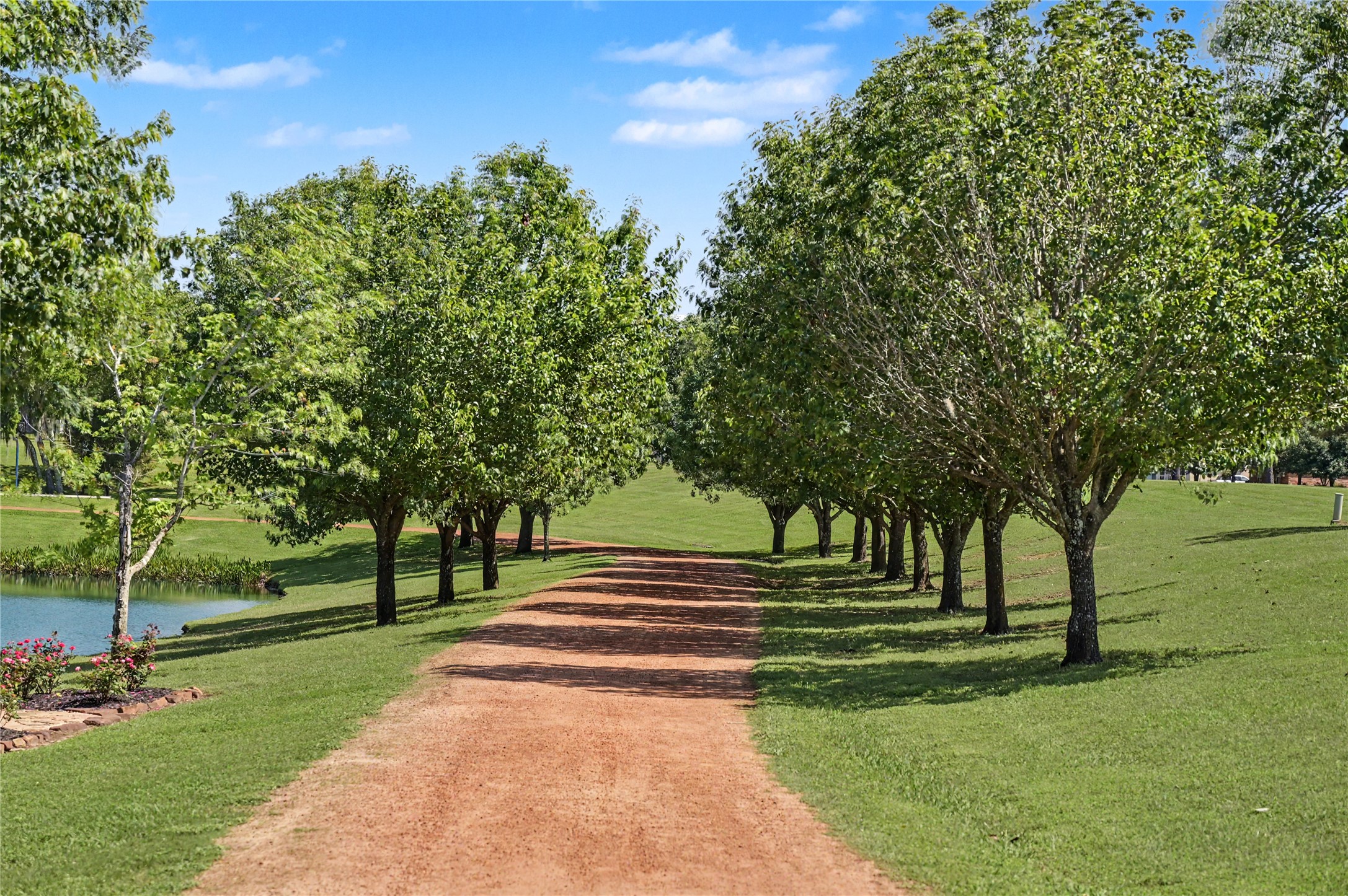 Gorgeous tree-lined pathway offering a peaceful, park-like atmosphere.
