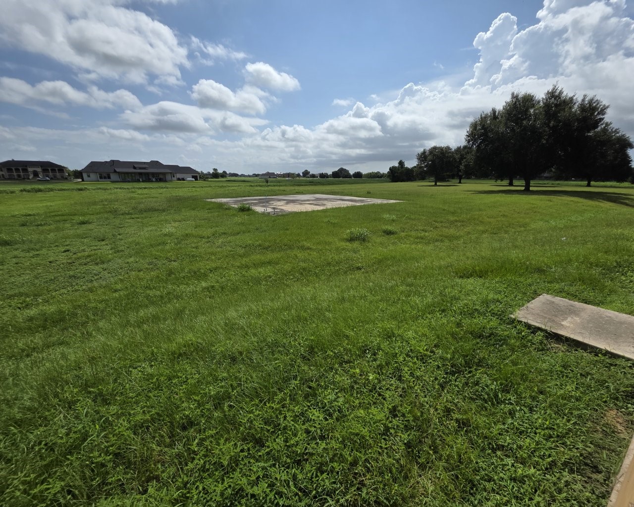 View of the yard in the back.