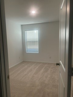 Bright and cozy bedroom with soft carpeting, featuring a large window that invites natural light.