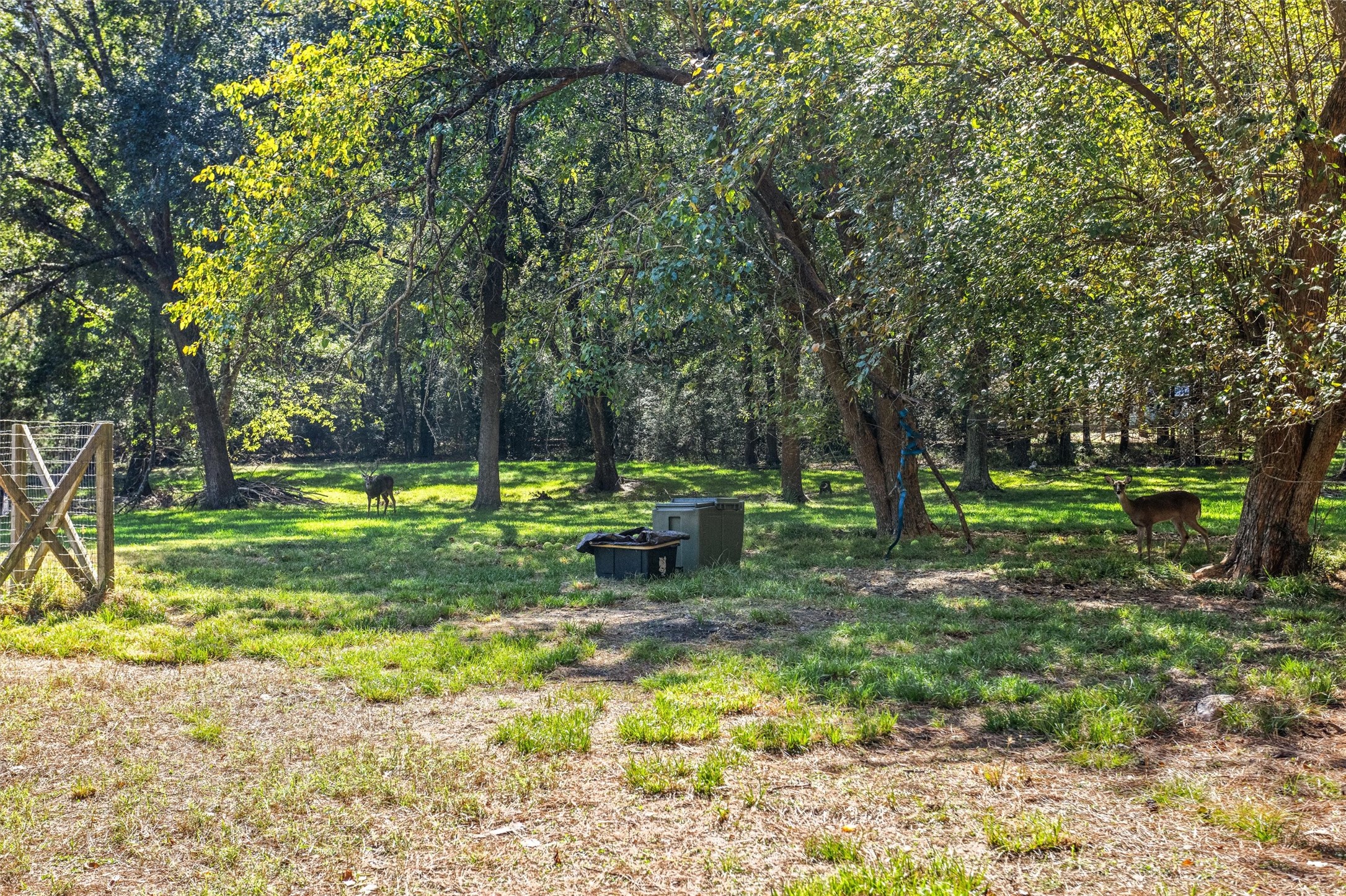 1007 Shawnee Drive, Conroe, TX 77316