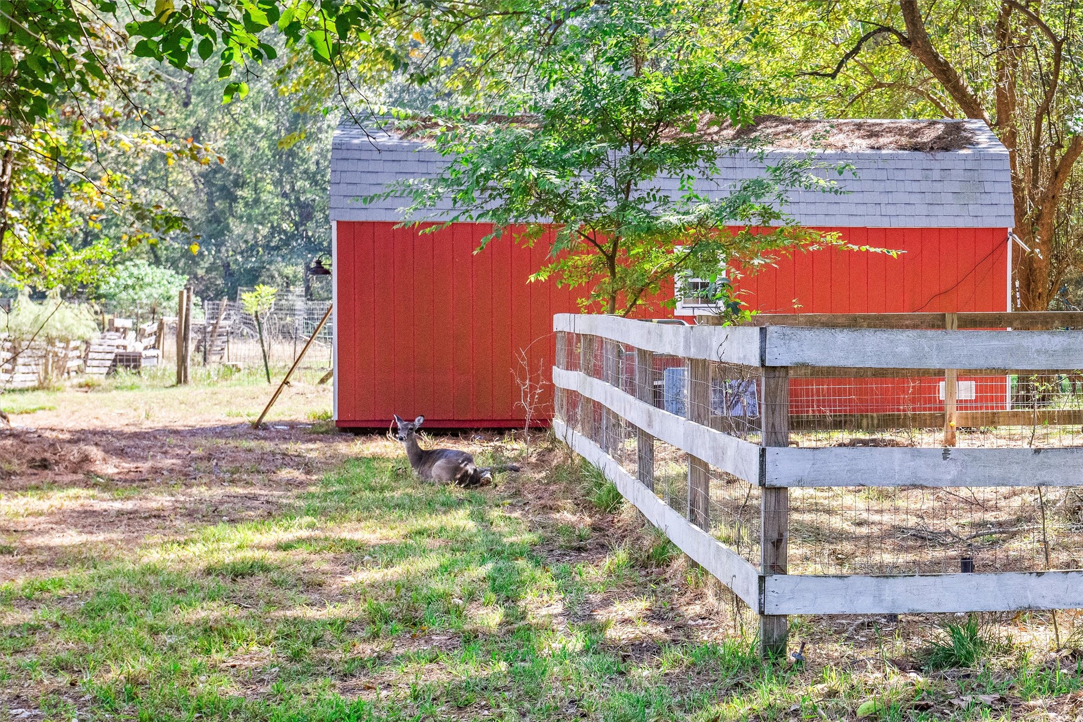 1007 Shawnee Drive, Conroe, TX 77316