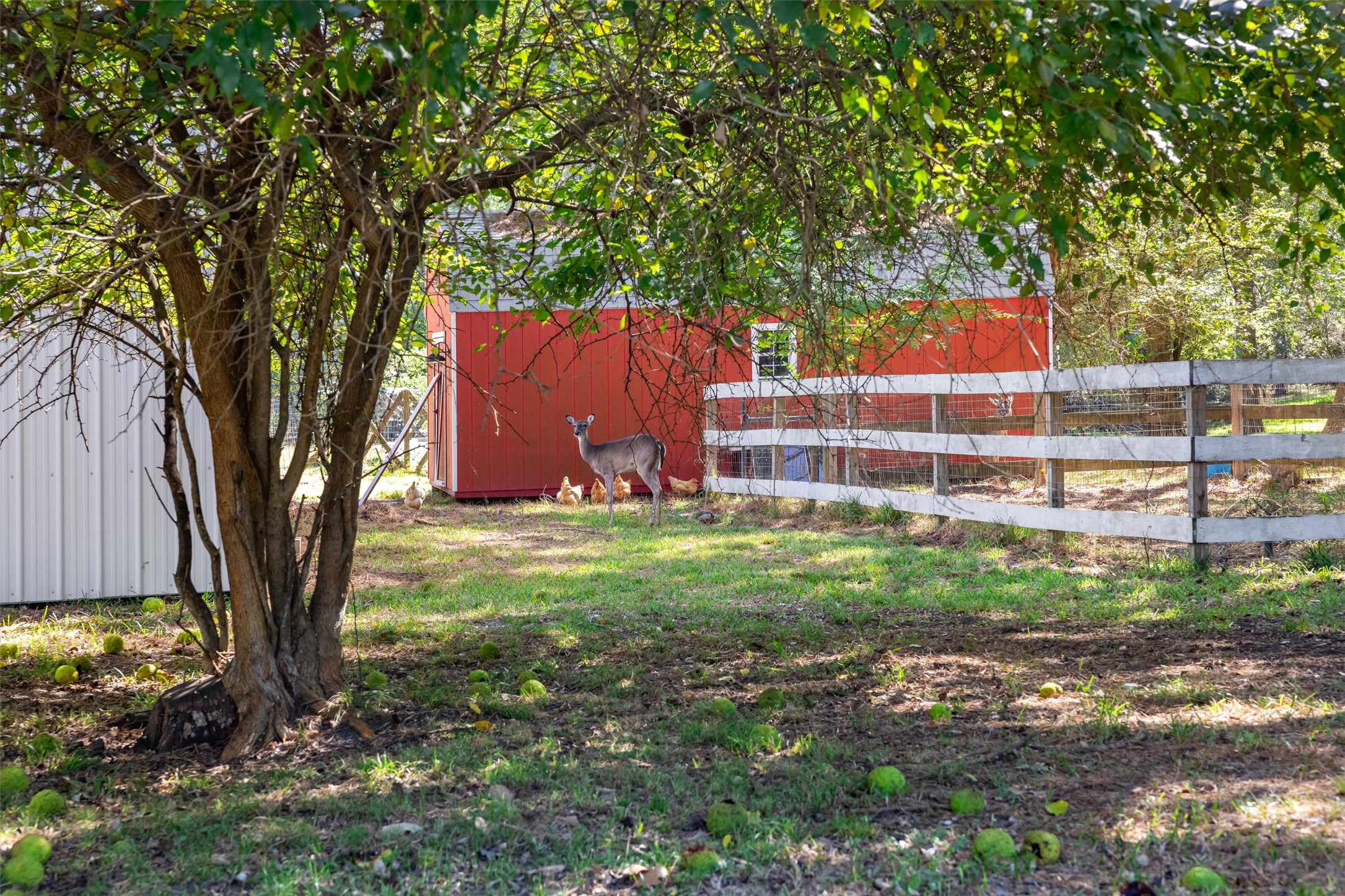 1007 Shawnee Drive, Conroe, TX 77316