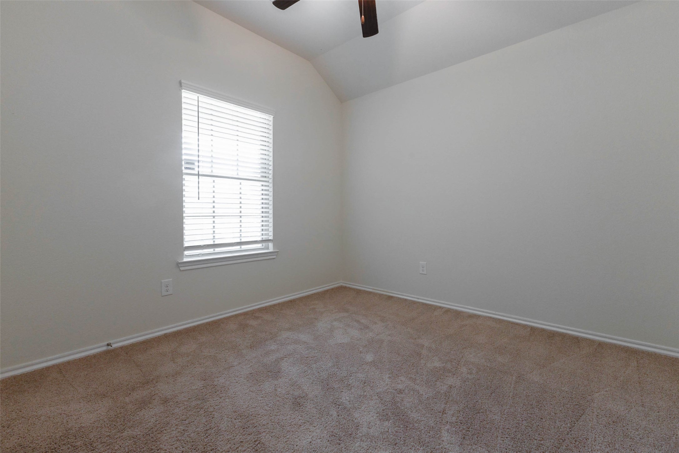 25634 Royal Catchfly Road, Katy, TX 77493