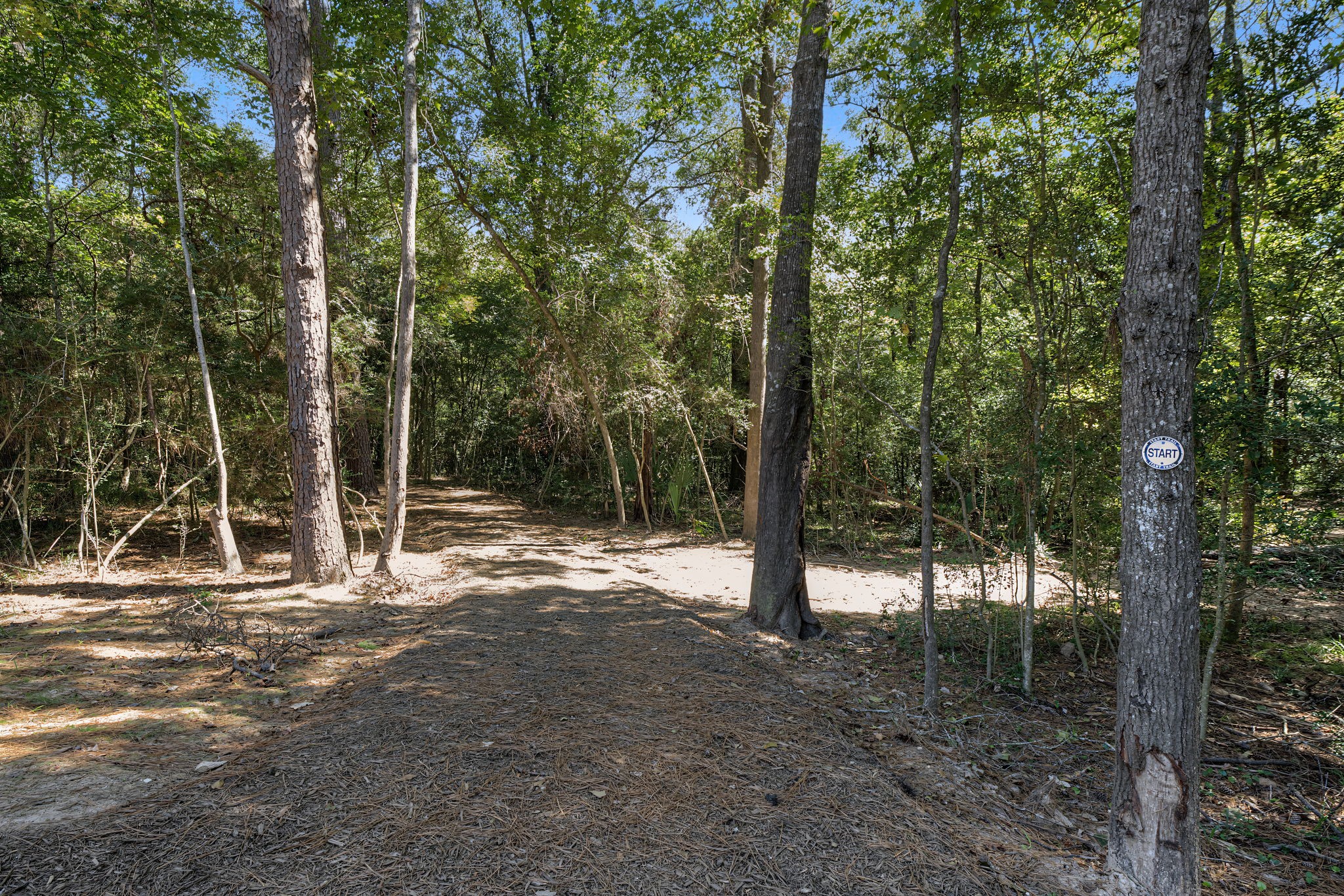 1981 La Salle Park Drive, Conroe, TX 77304