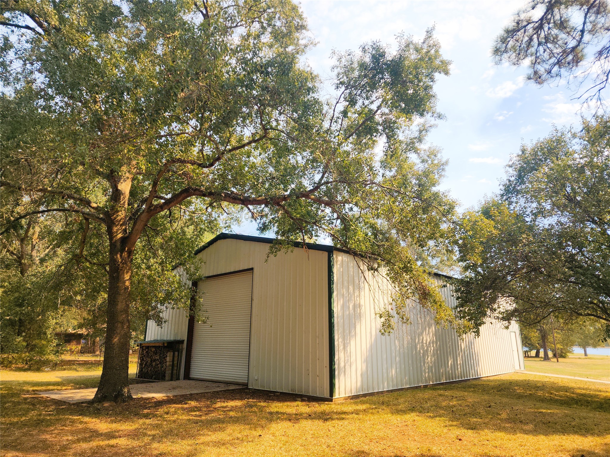 Spacious metal building with a large roll-up door, nestled among mature trees on a serene property.