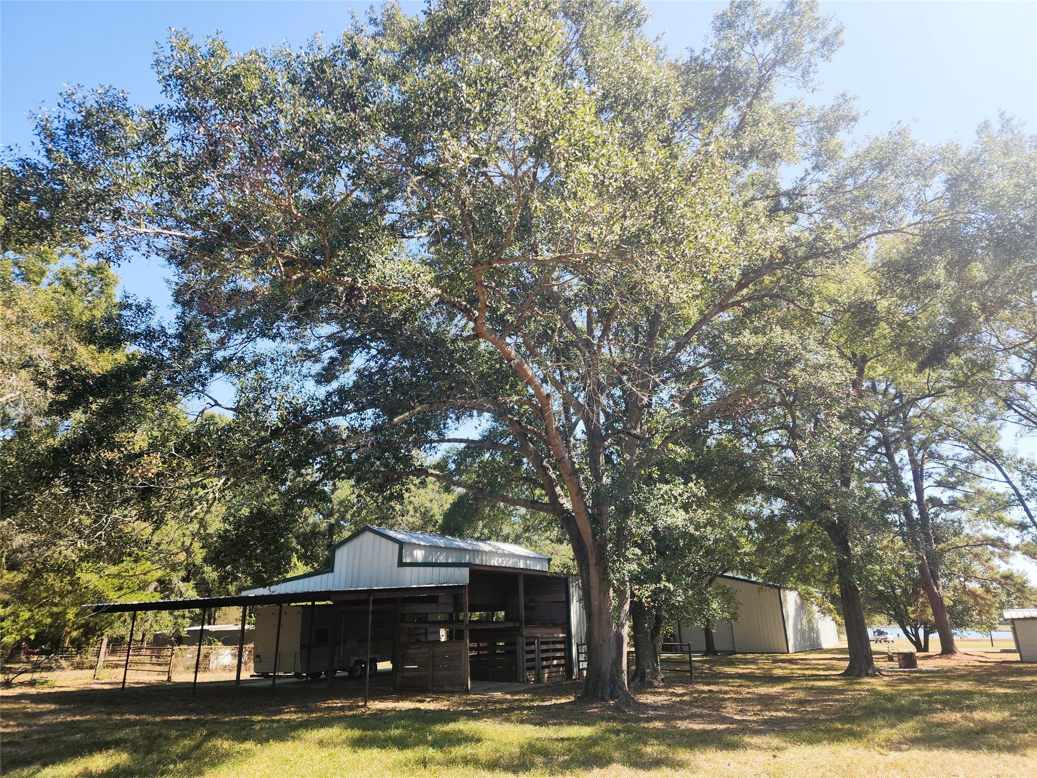 A spacious metal barn with a covered area, perfect for storing vehicles, surrounded by lush trees.