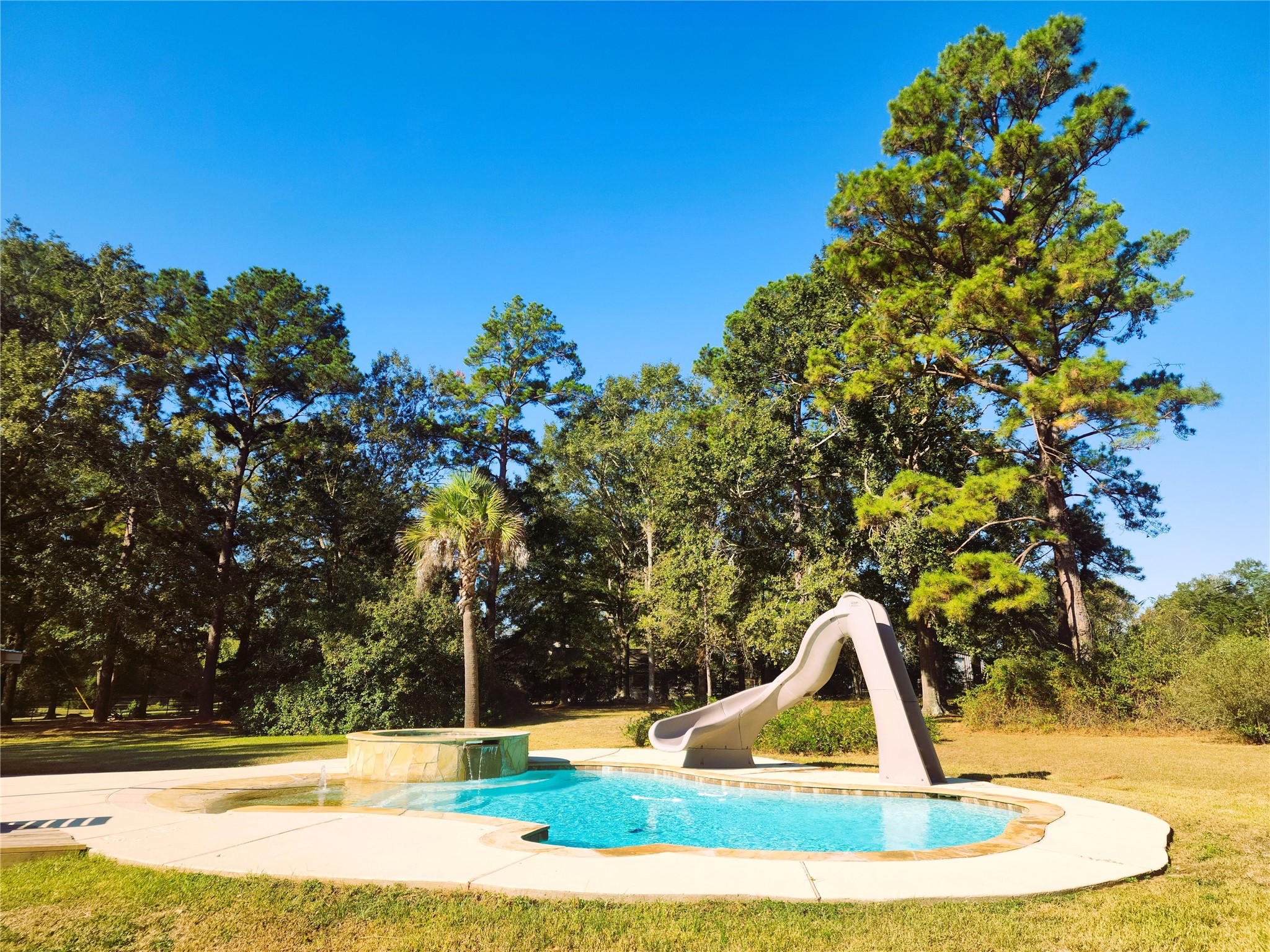 Enjoy outdoor living with a stunning saltwater pool featuring a slide and beach entry, set against a backdrop of mature trees for added privacy. Enjoy outdoor living with a stunning saltwater pool featuring a slide and beach entry, set against a backdrop of mature trees for added privacy.