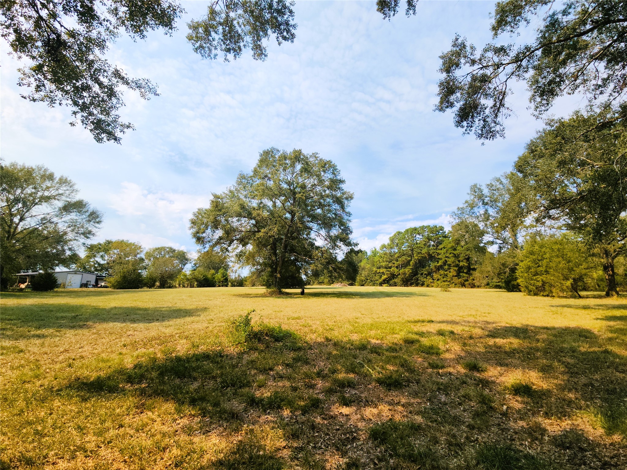 5.89 Acres featuring an open field with mature trees providing a serene, natural setting, ideal for enjoying outdoor activities.