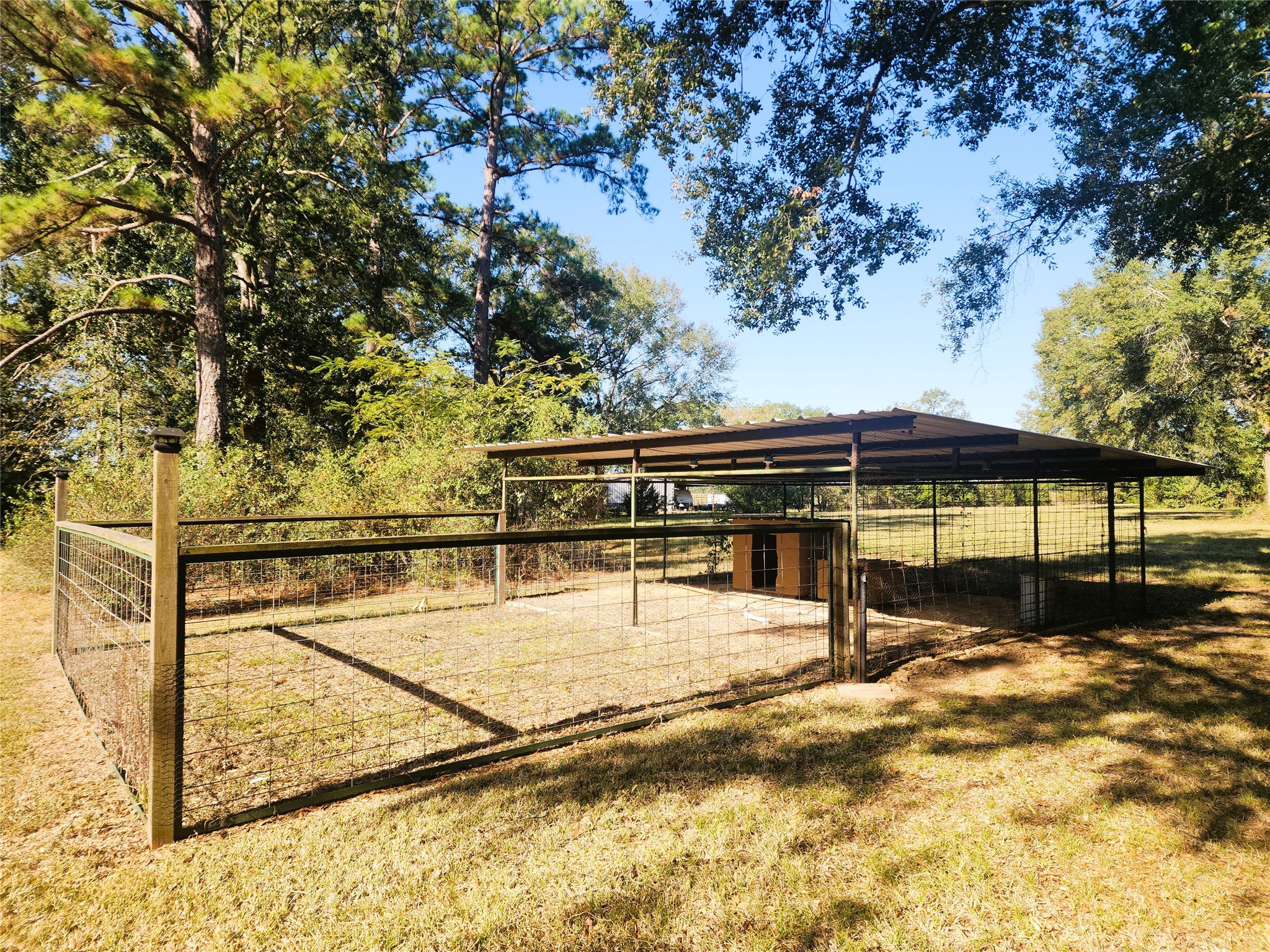 Spacious outdoor kennel with a secure fenced area and a sturdy roof, nestled among lush trees for added shade and privacy.