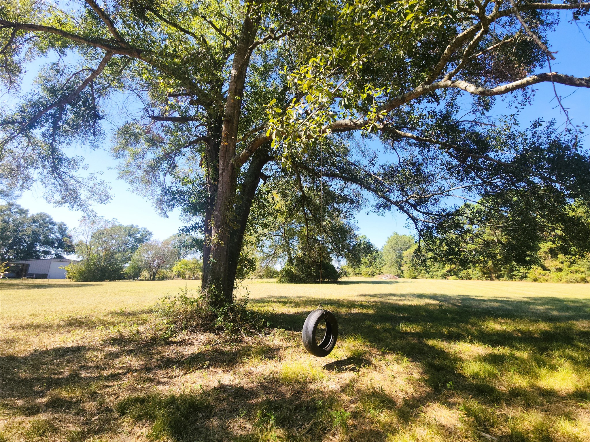 Expansive yard with a large, mature tree and a charming tire swing, perfect for outdoor enjoyment and relaxation.