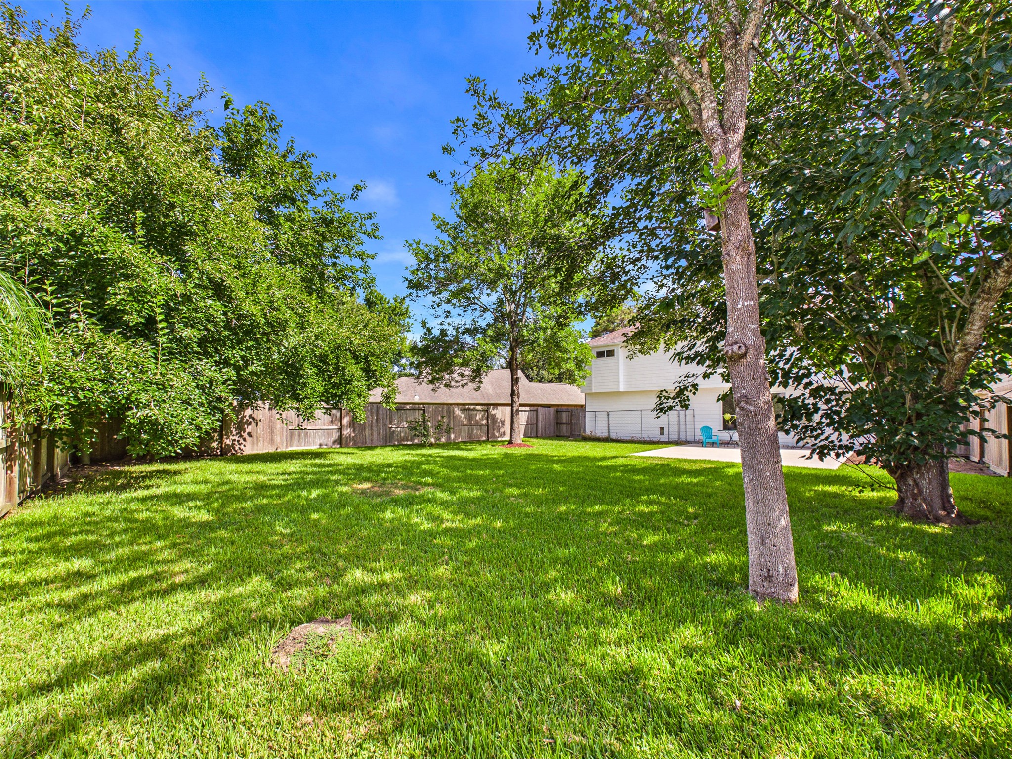 Large Backyard