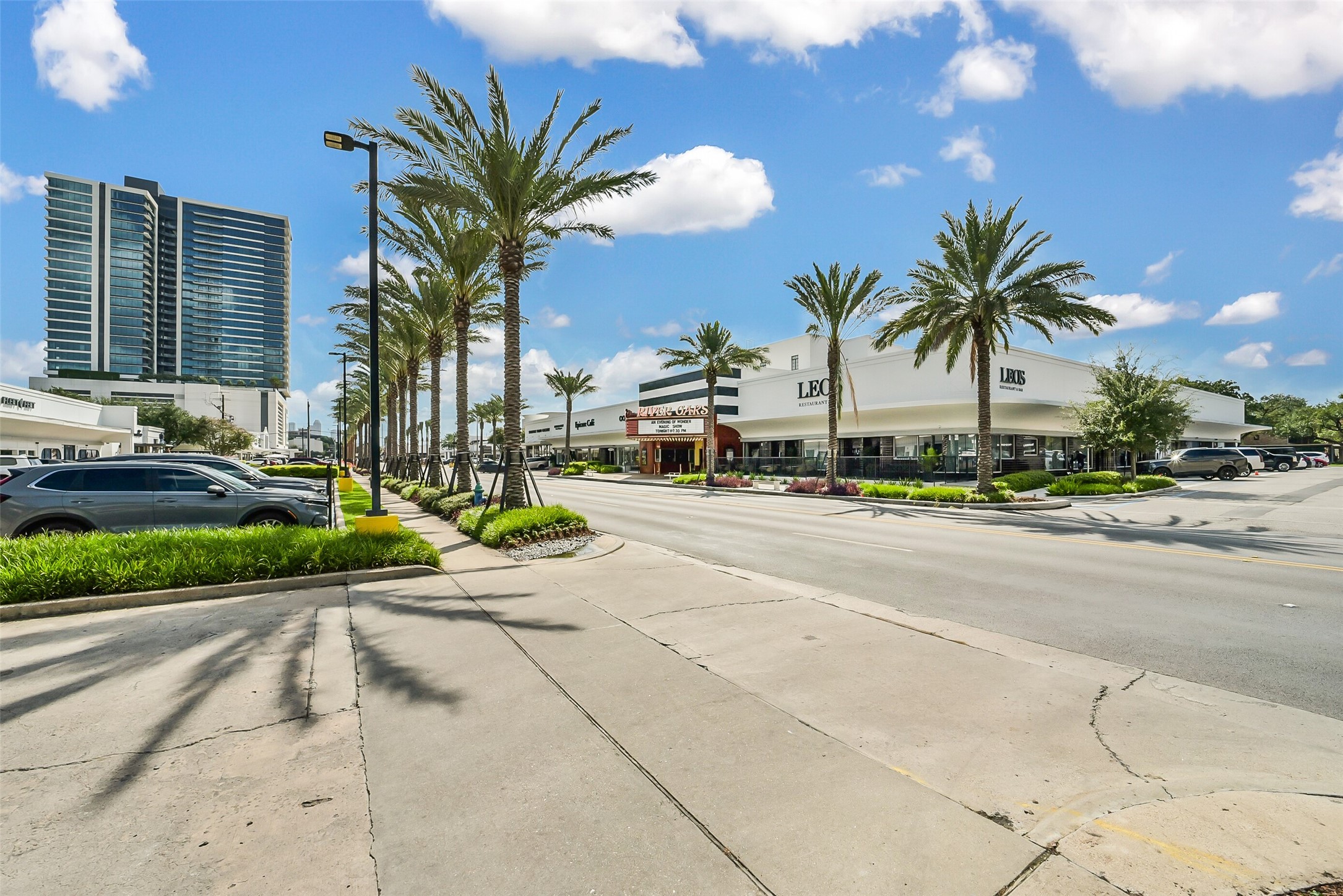 1601 S Shepherd Drive, #225, Houston, TX 77019