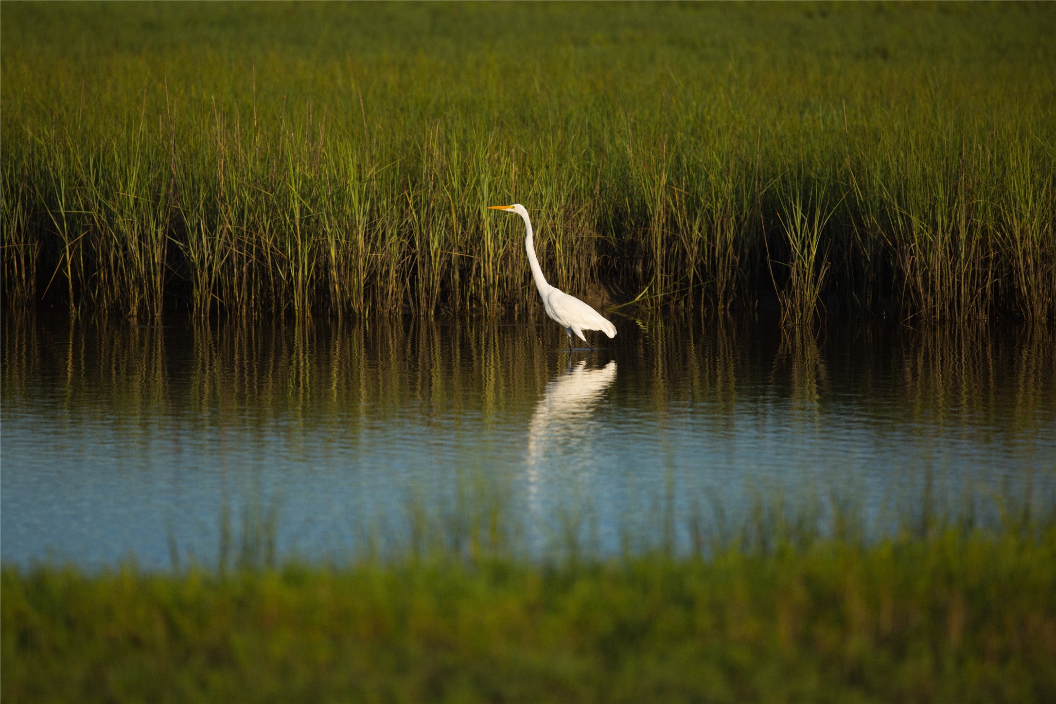24 Long Key, Hitchcock, TX 77563