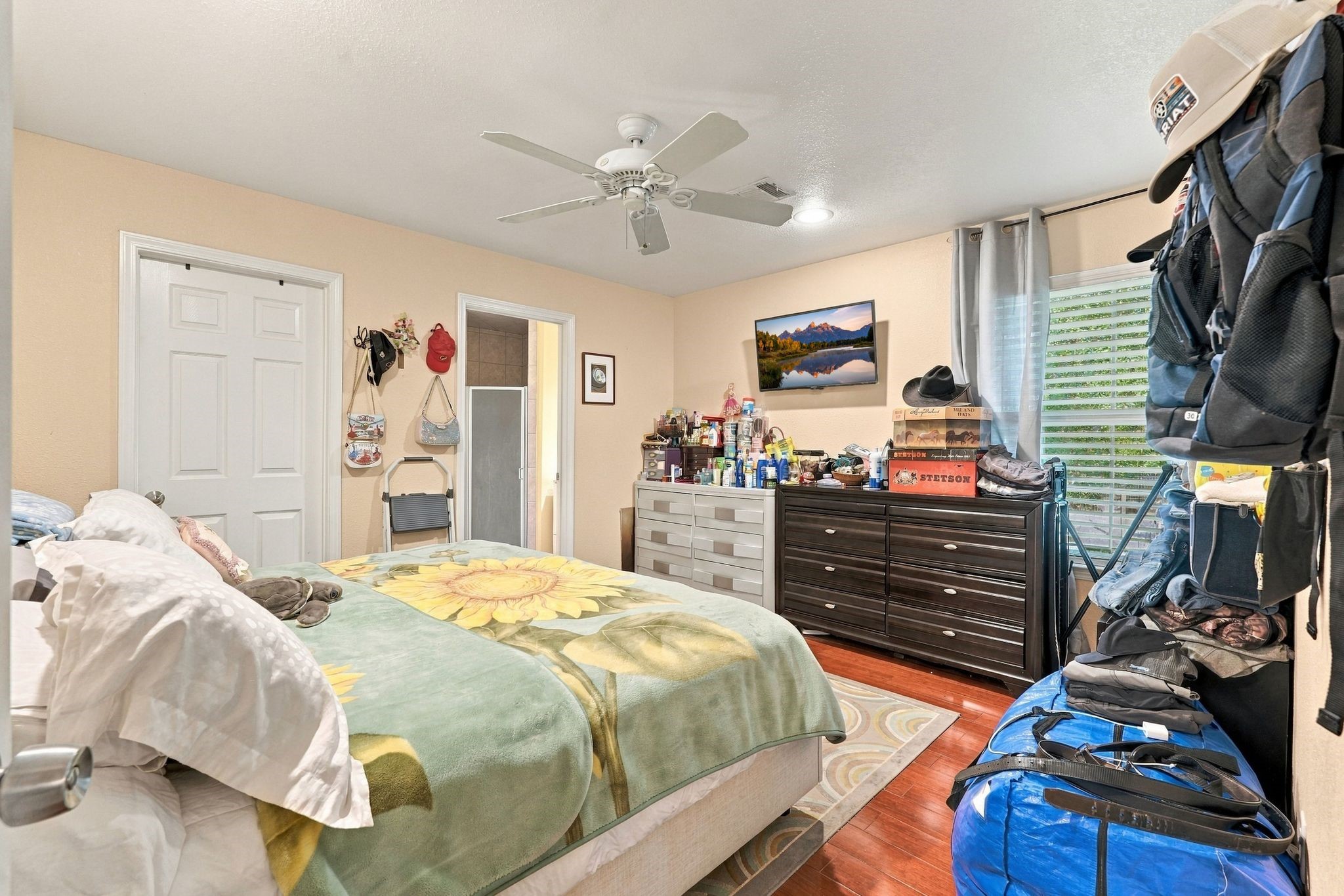 11236 Creek Meadow Drive, Willis, TX 77378
