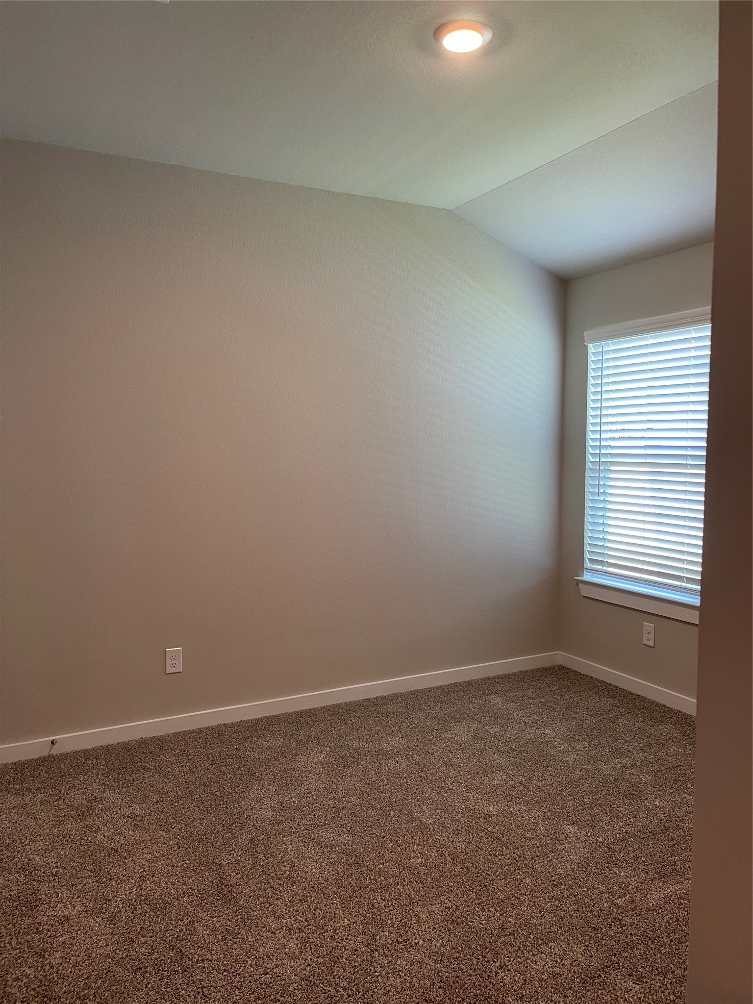 Cozy room with plush carpeting, neutral walls, and ample natural light from a large window.