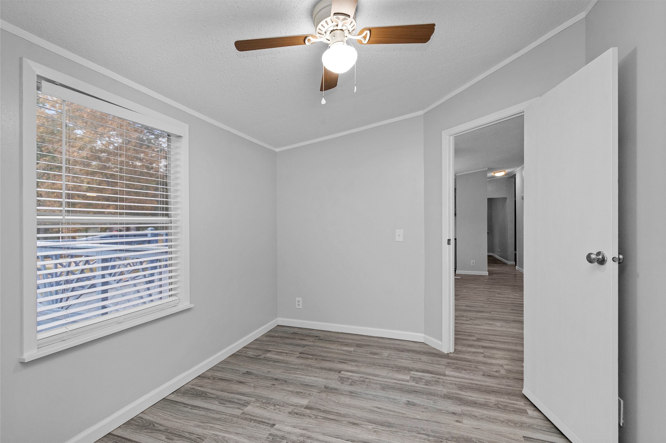 Office or 4th bedroom