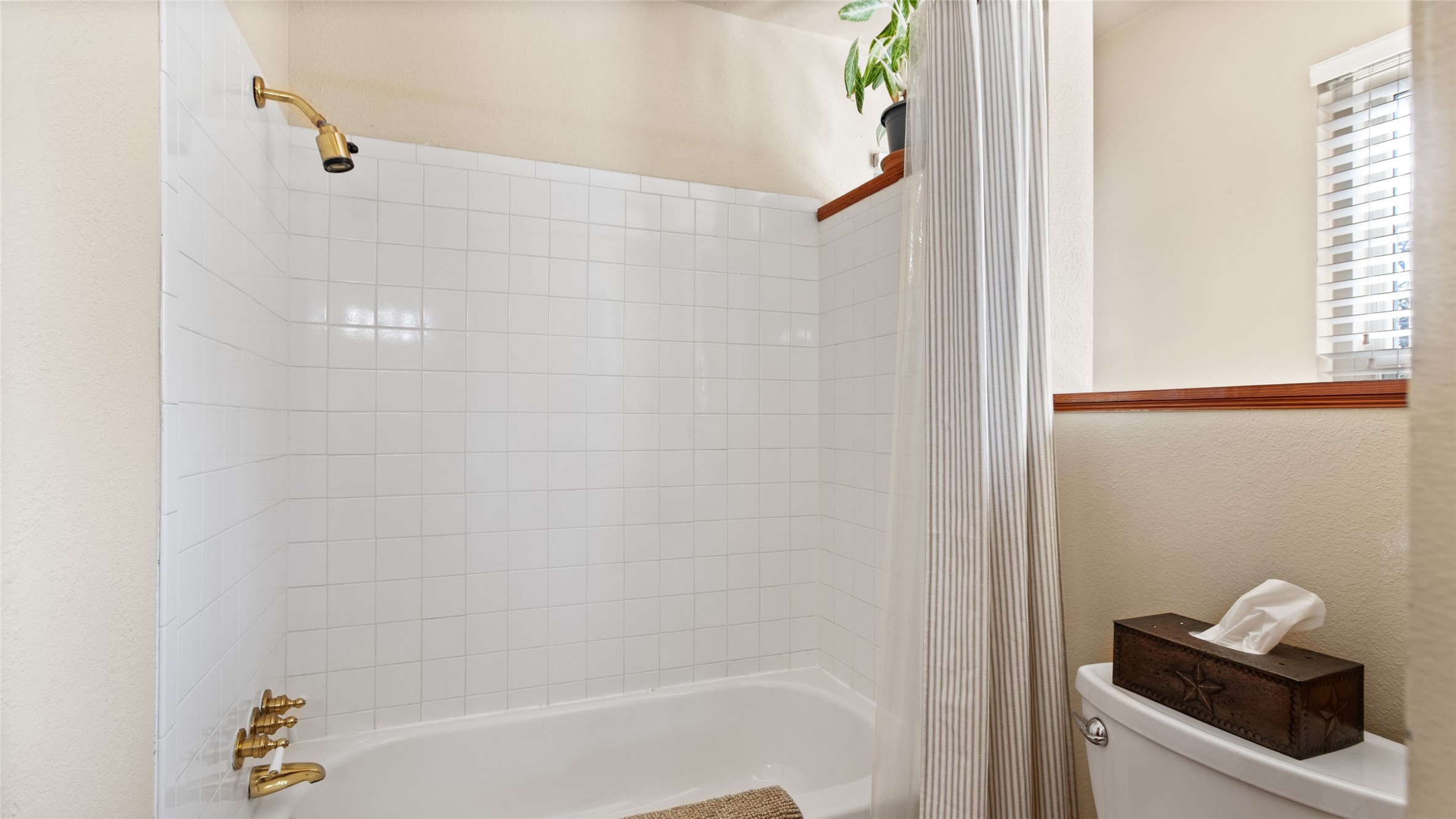 Tub/Shower Combo