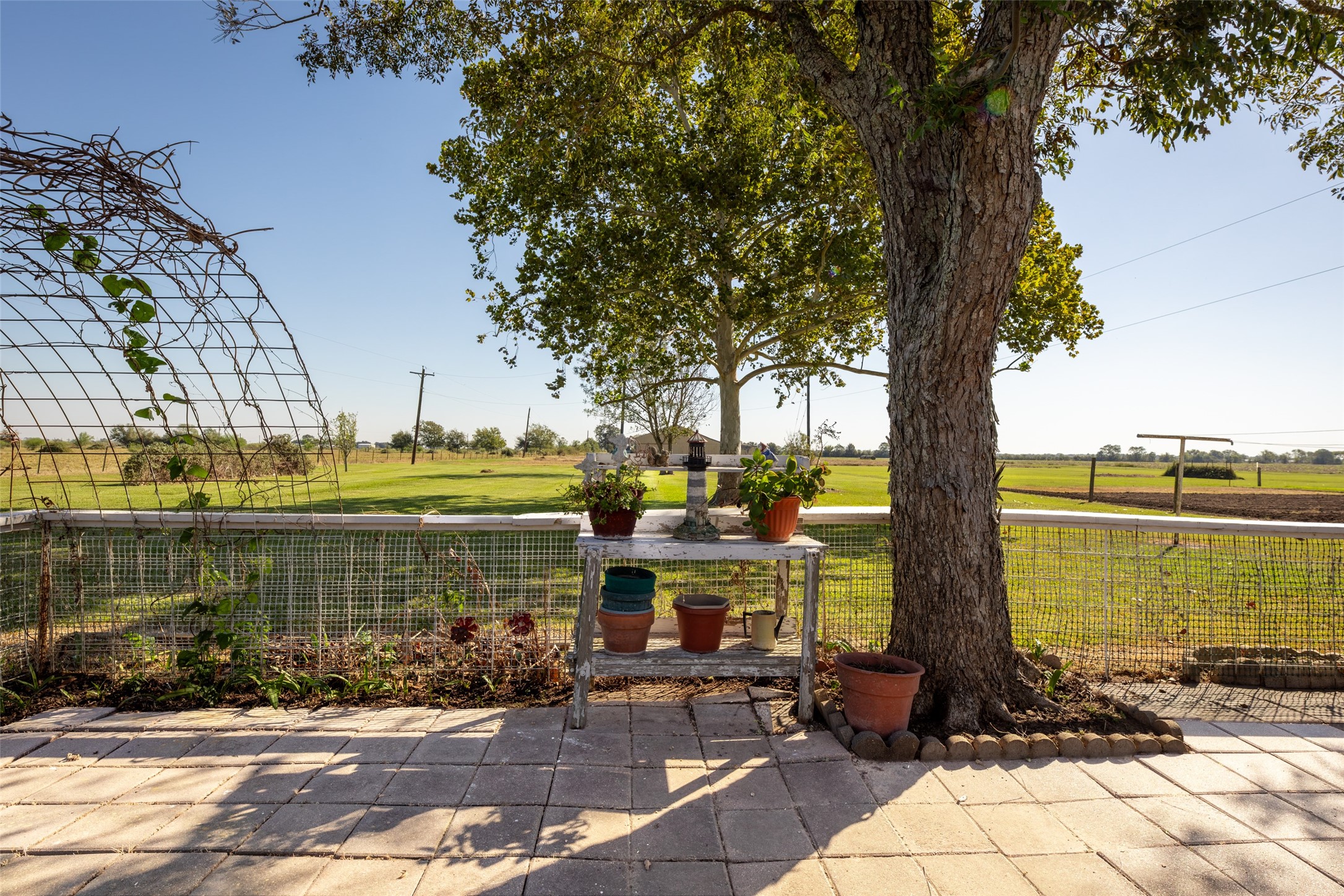 1542 Pilcik Road, Orchard, TX 77435