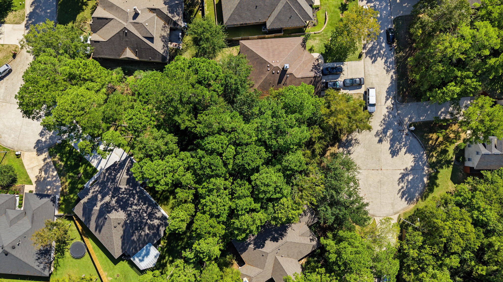 13614 STEAMBOAT SPRINGS, Montgomery, TX 77356