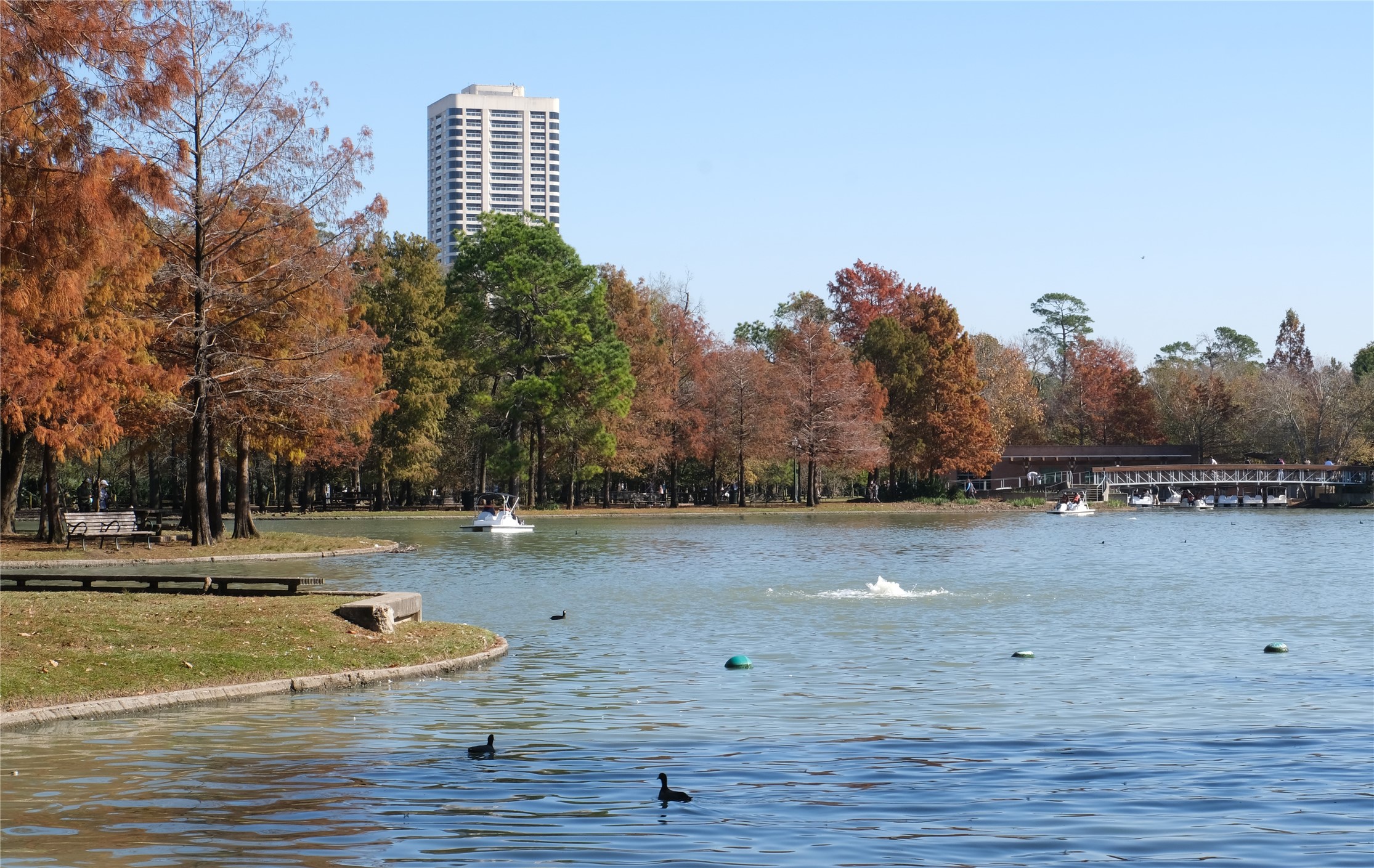 Who needs autumn in New York when you have it in Houston at the Parklane. Come visit us and find your new home in the clouds.