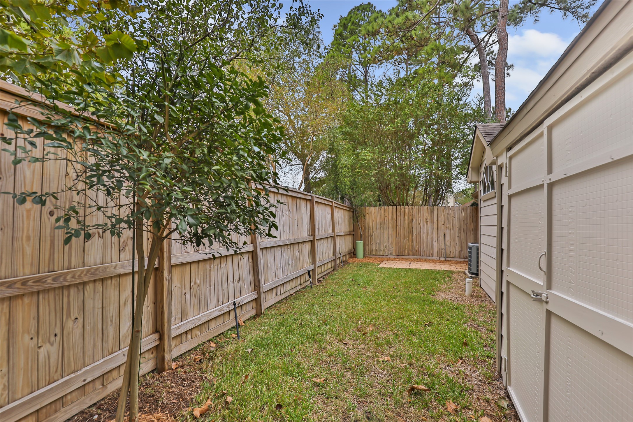Back yard