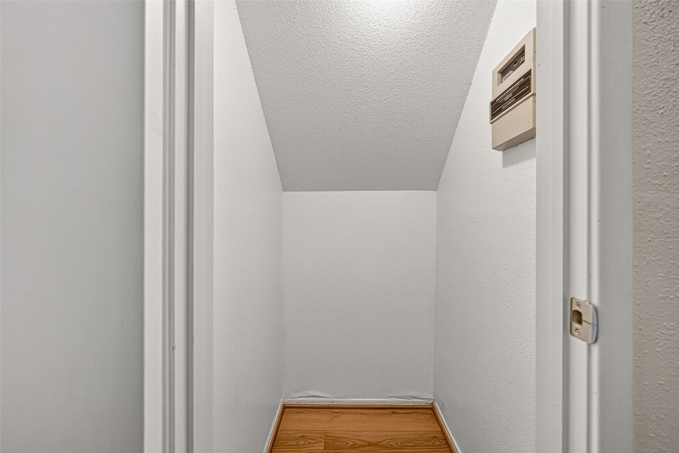 Additional storage closet with wood-look flooring, offering convenient storage space.