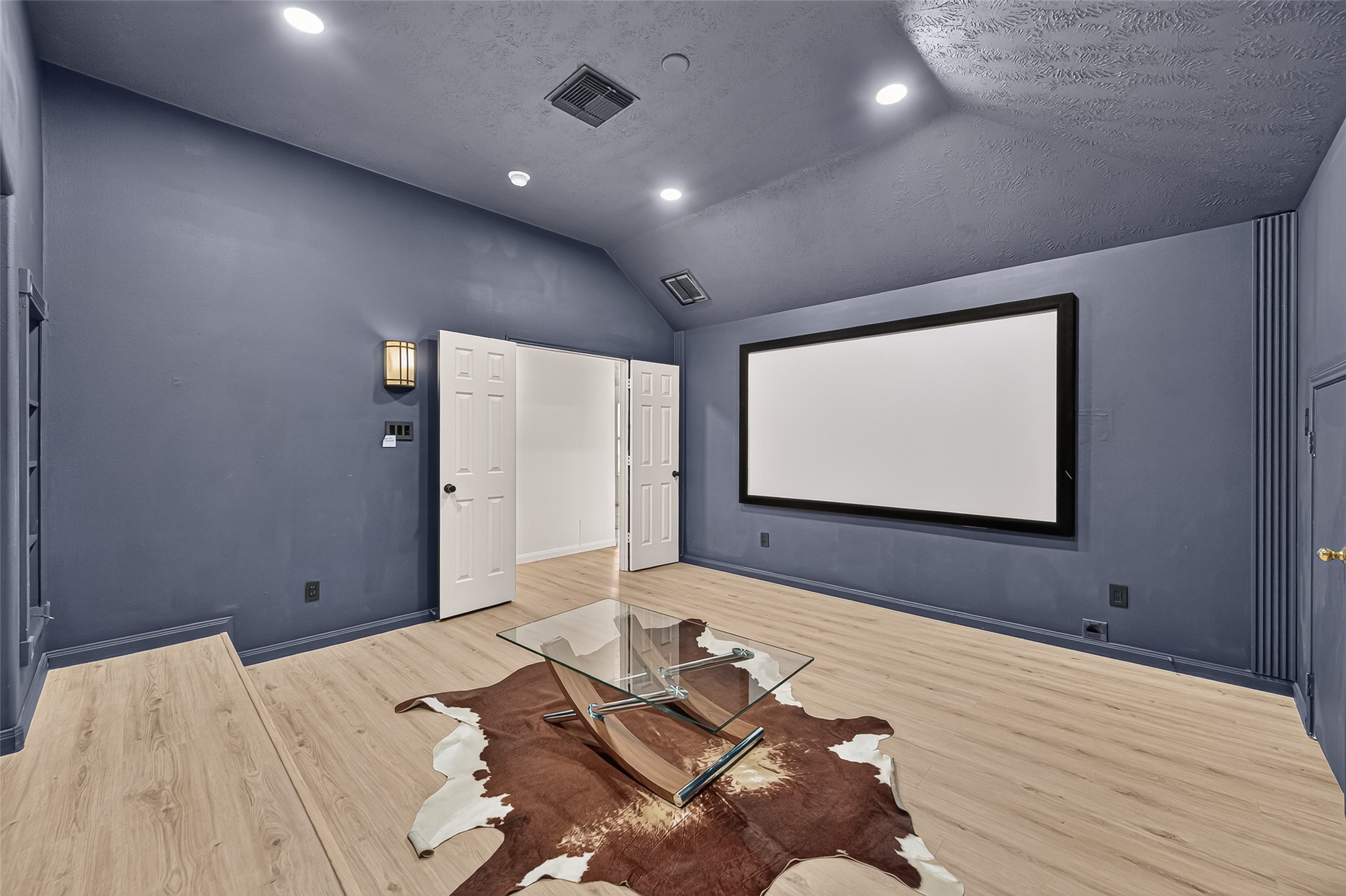 Theatre Room No Carpet