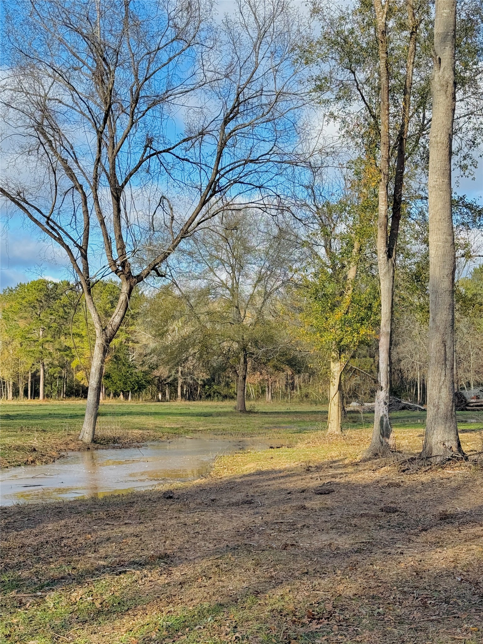Tract B Sharpwest Trail, Montgomery, TX 77316
