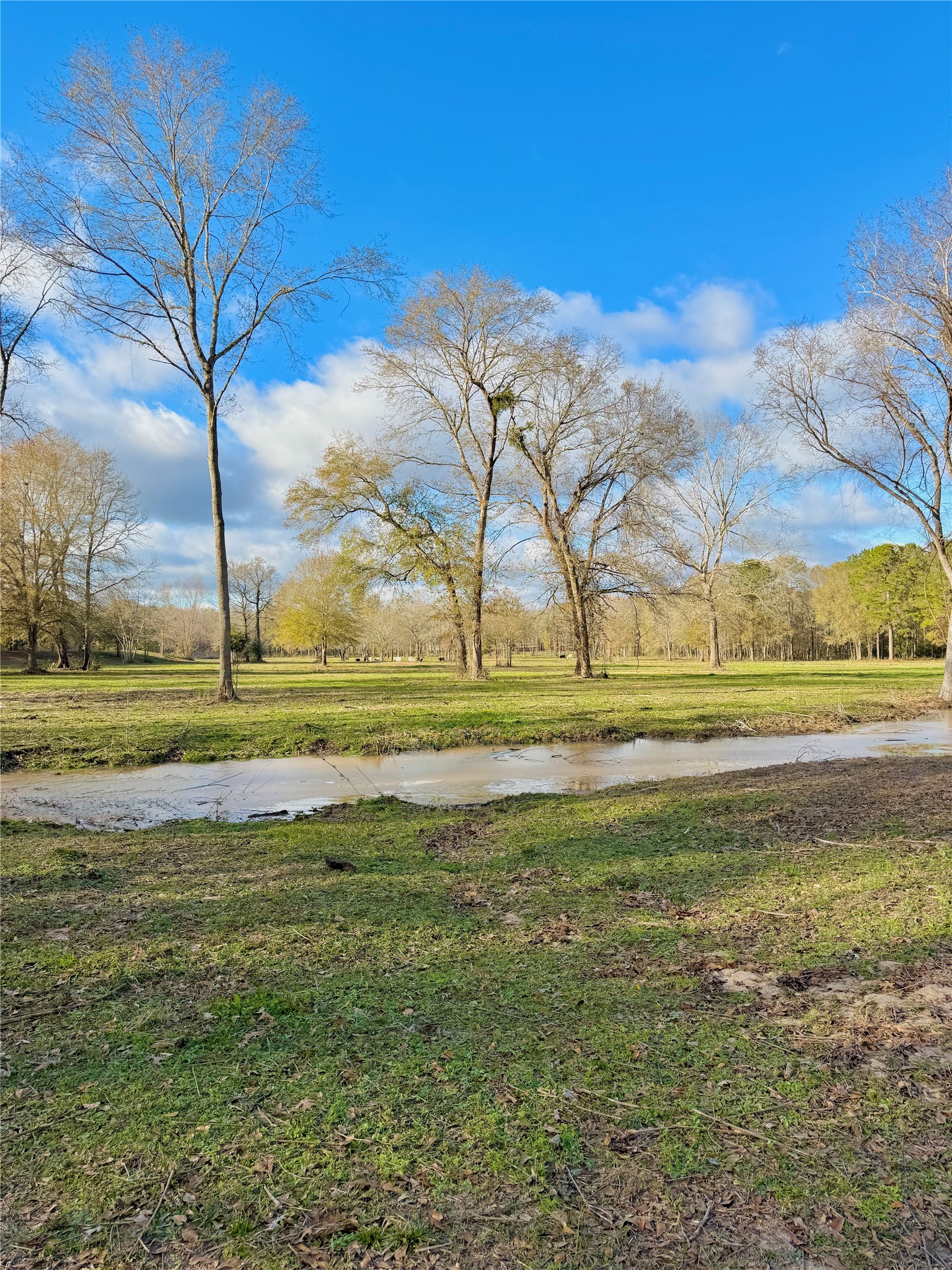 Tract B Sharpwest Trail, Montgomery, TX 77316